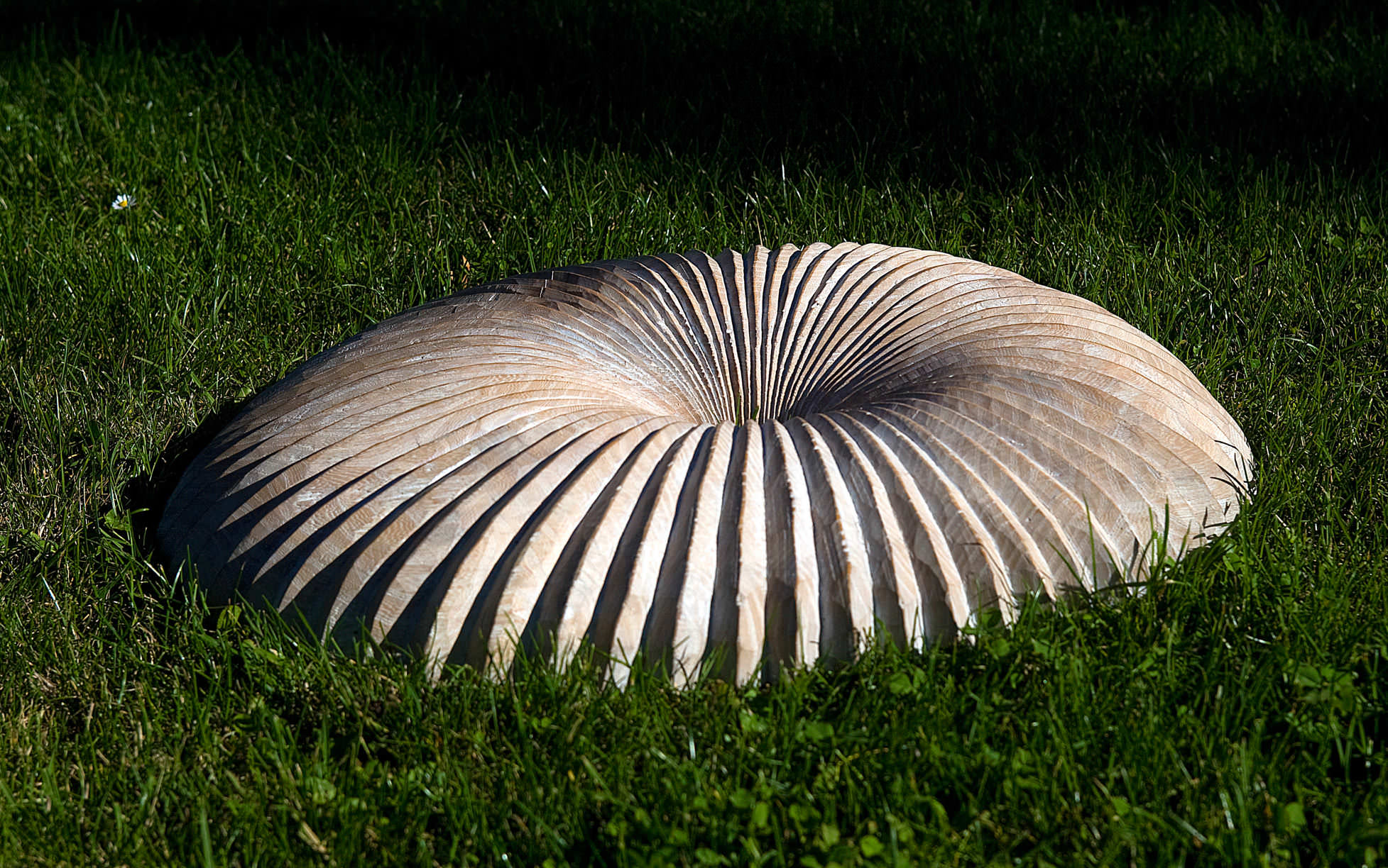 No titel Relief made of elm wood, 50 cm X 40 cm, Sold