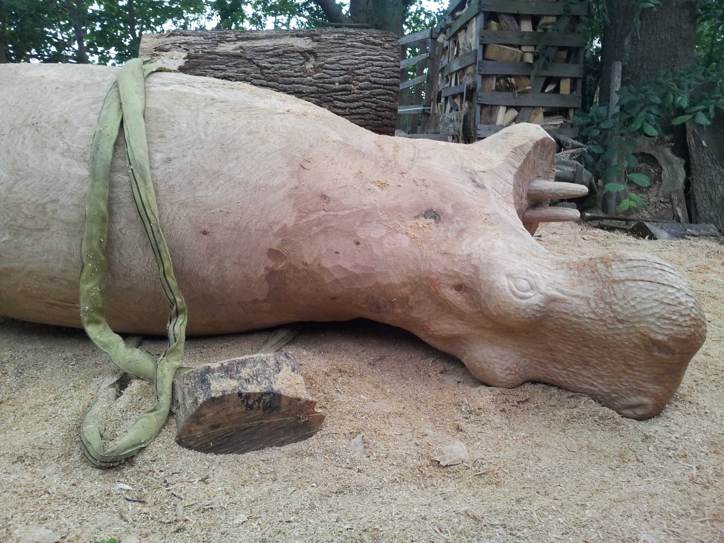 I sommeren 2015 arbejdede jeg på denne legeskulptur til Tårnby Bypark. En 2 meter lang flodhest af egetræ. Her er et link til mit facebook album der viser flere billeder af processen: https://www.facebook.com/media/set/?set=a.10153240415128003&type=1&l=9ecfeeb3ce