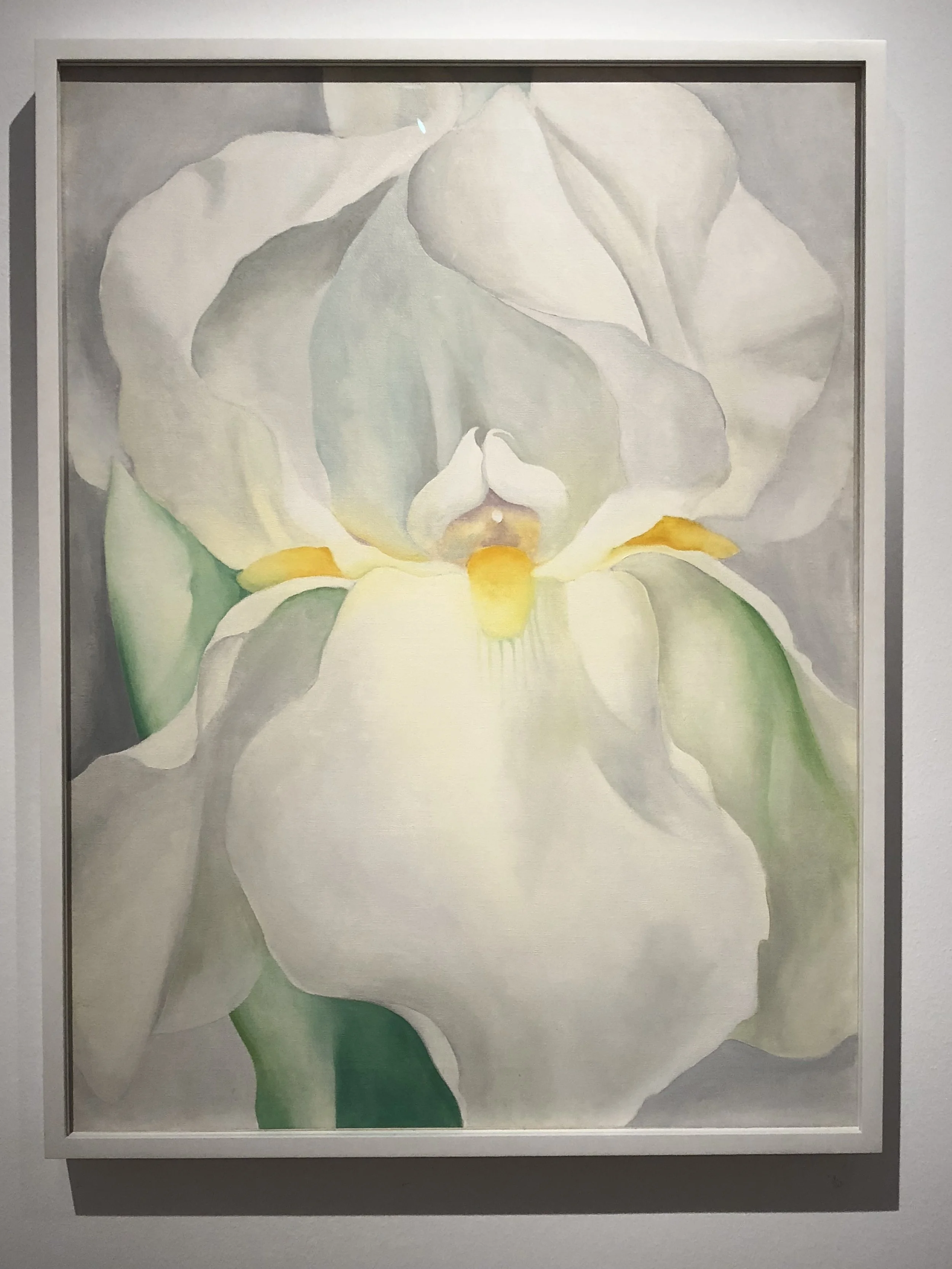 Georgia O’Keefe White Iris No.7, 1957