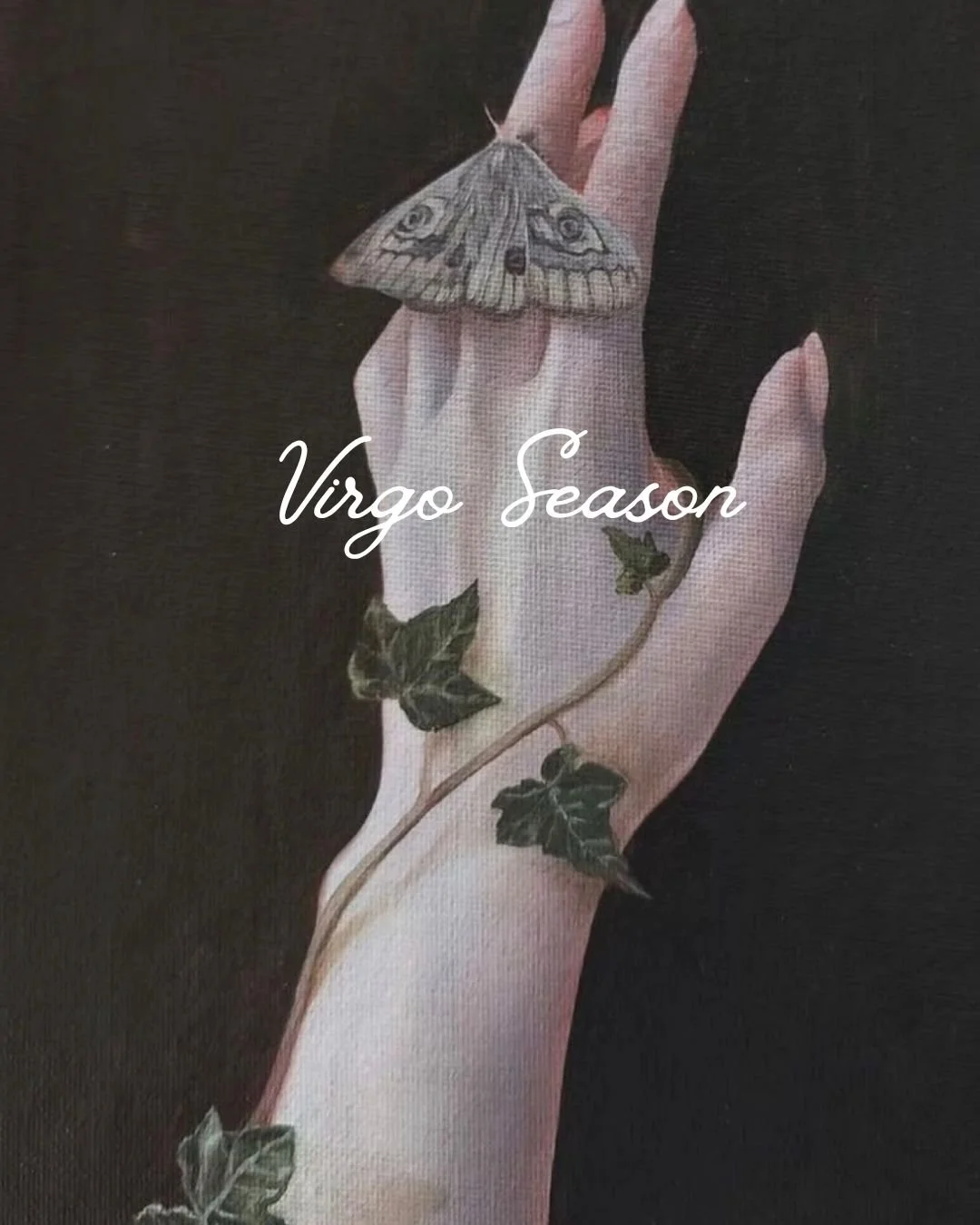 Virgo Season
