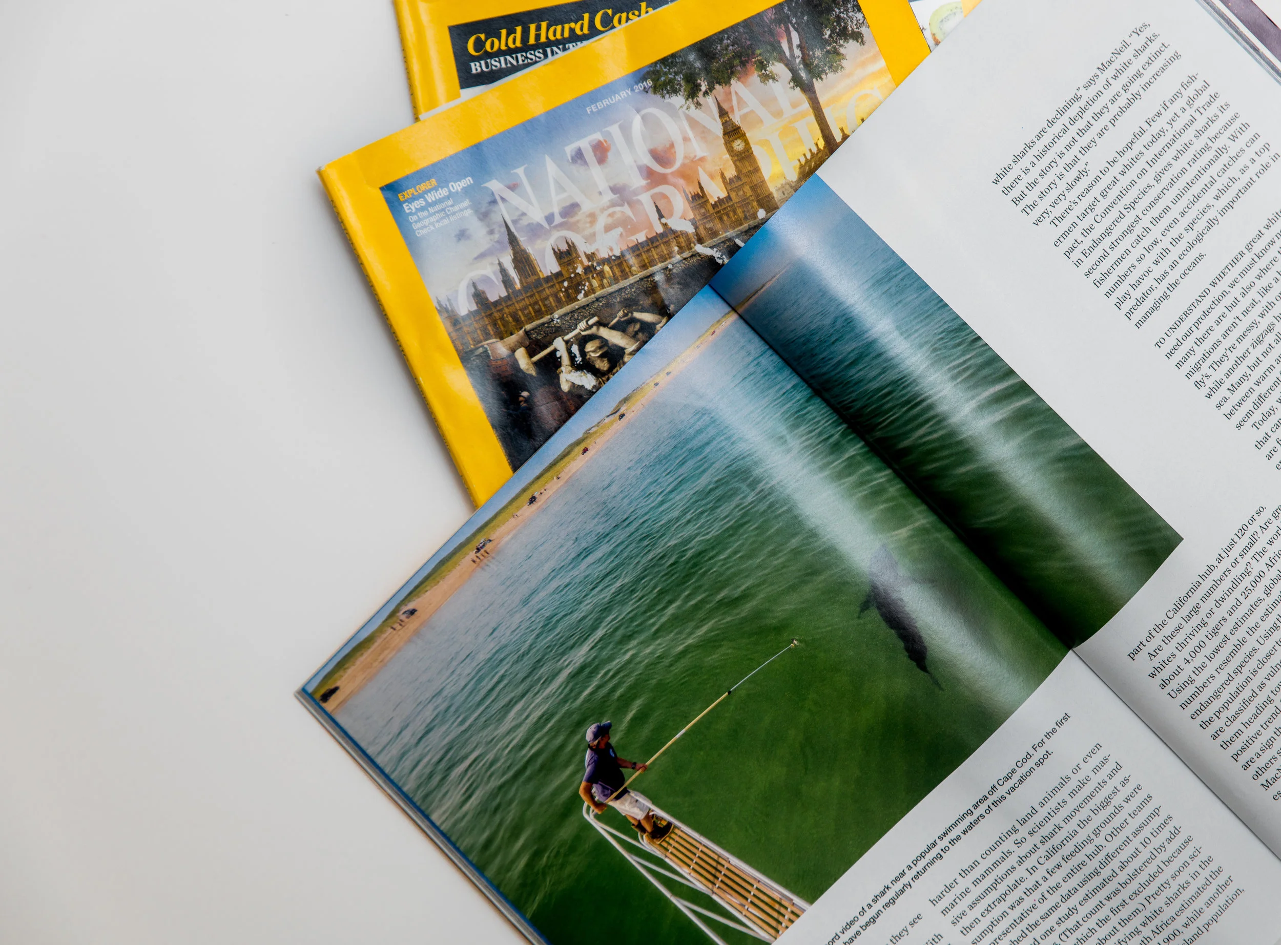 Brochure Printing Sydney