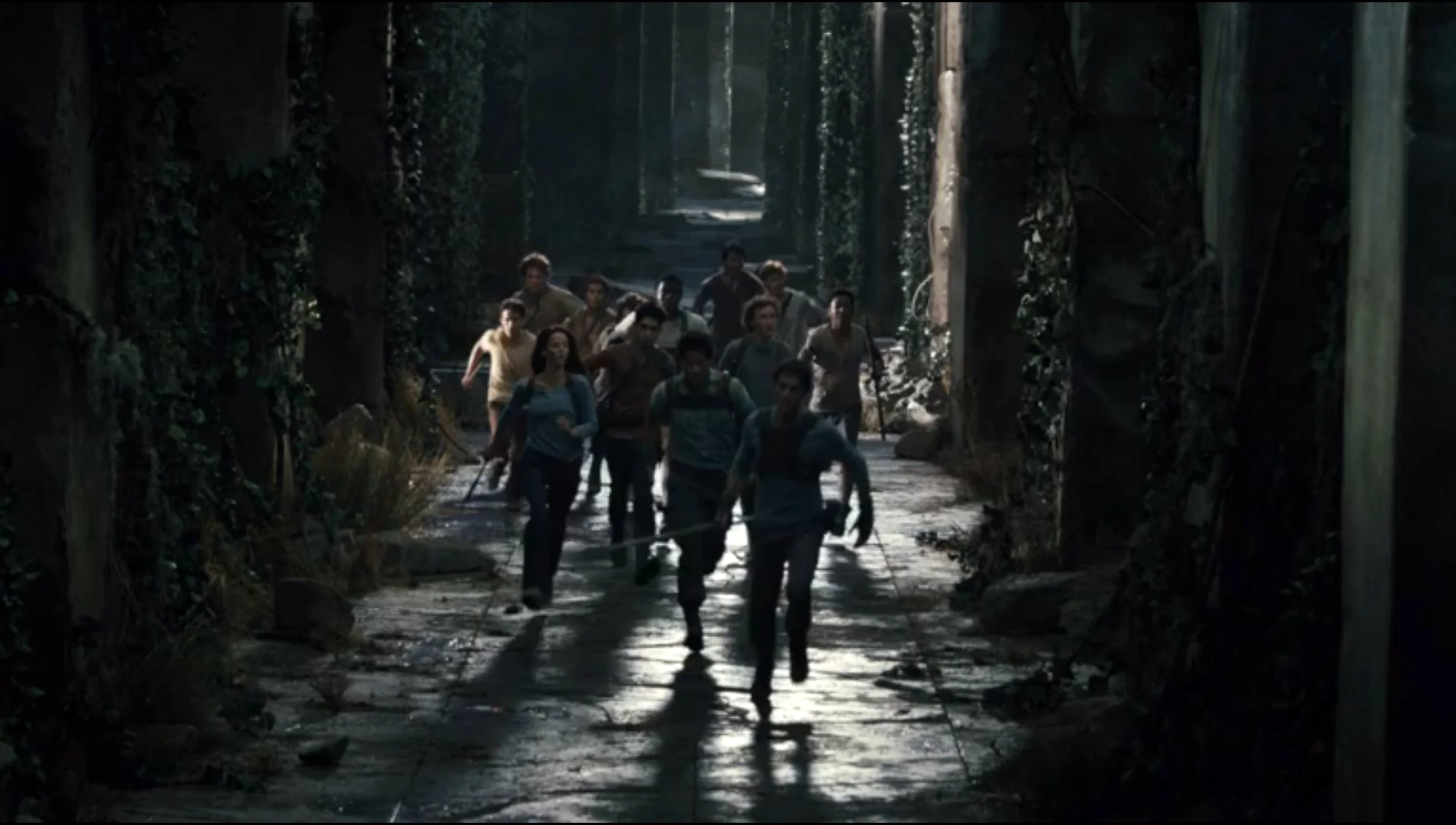 Maze Runner : The Maze