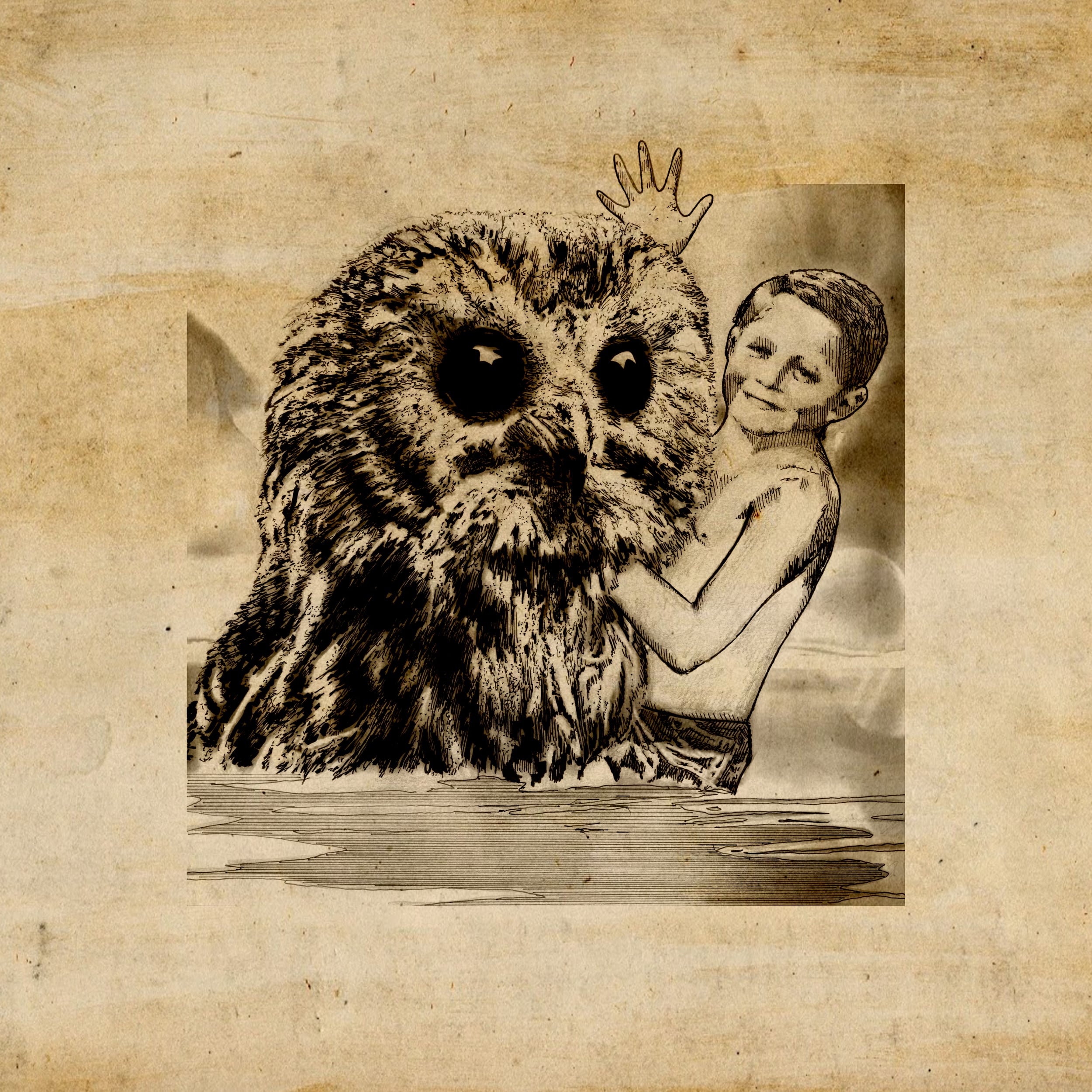 Boy with Owl