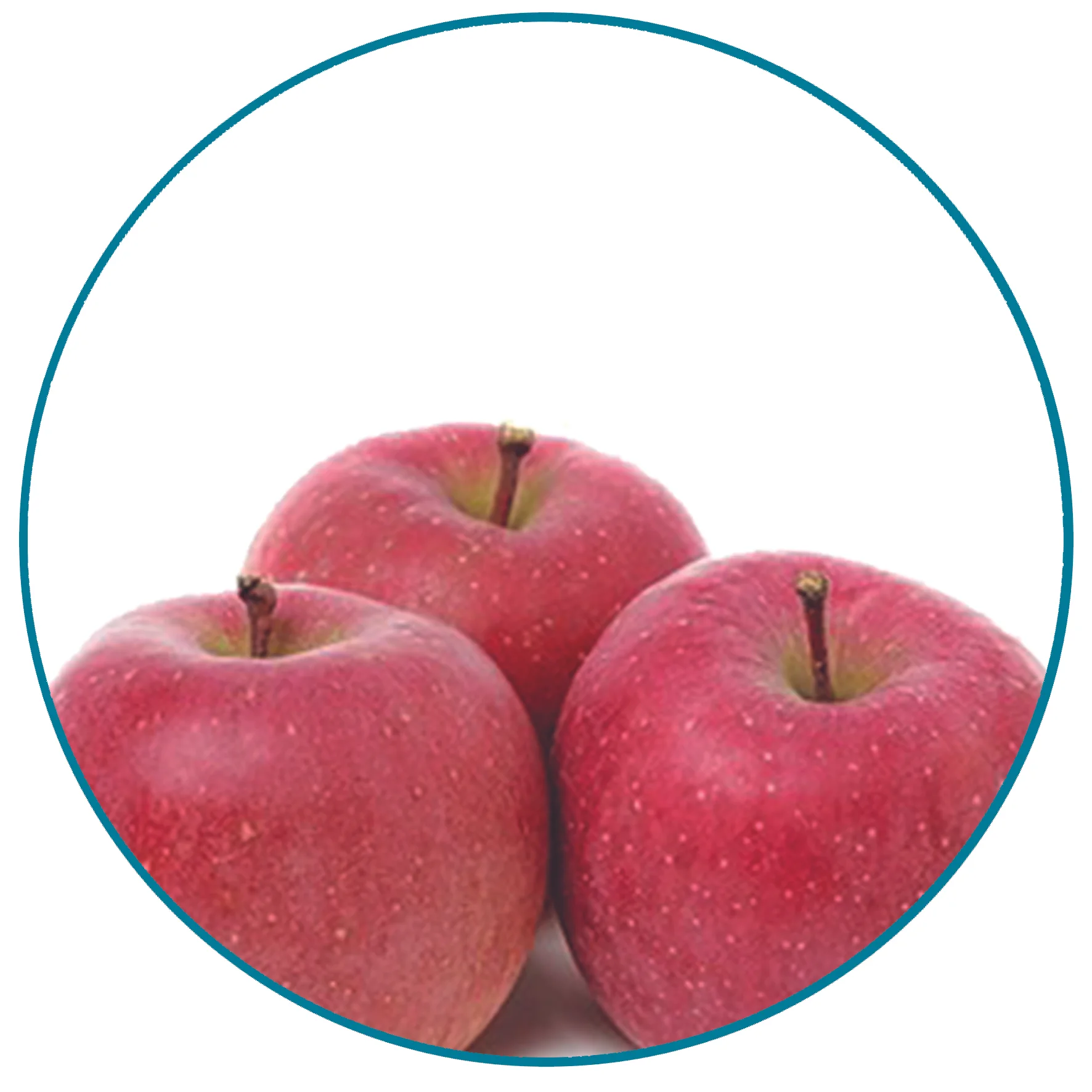 Apples.jpg