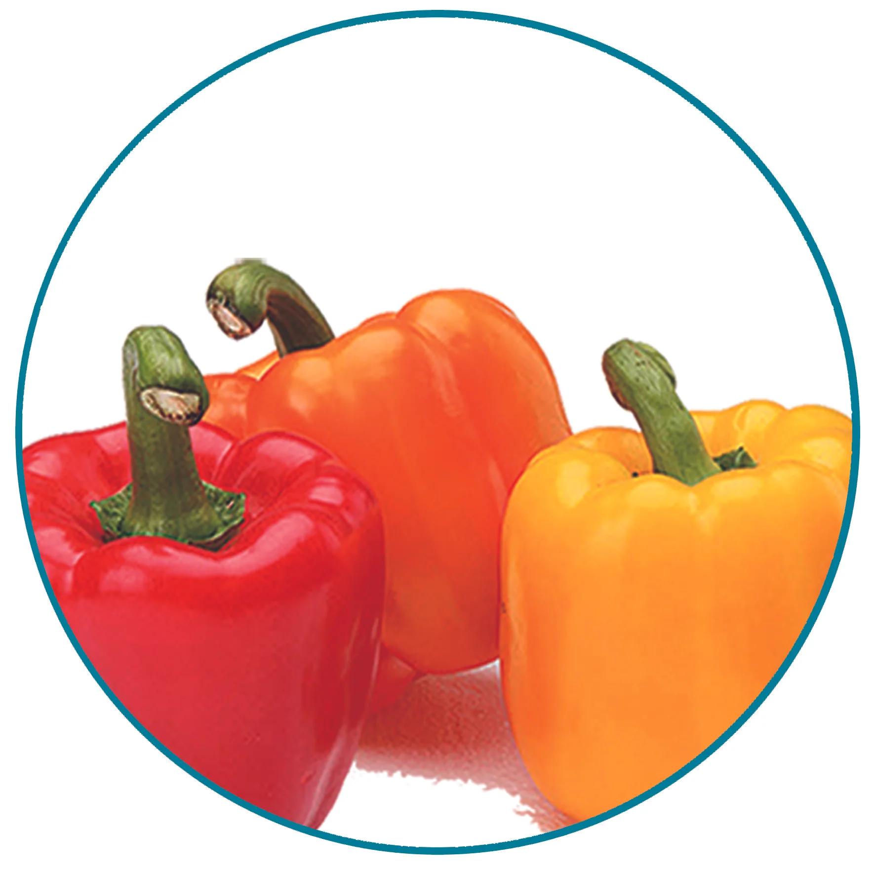 Paprika.jpg