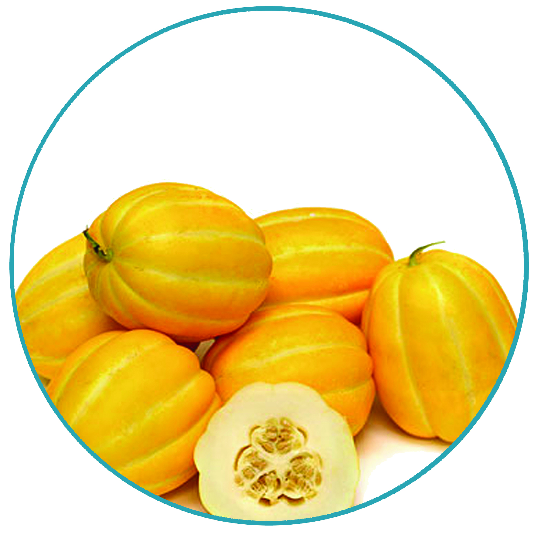 Yellow Melon.jpg
