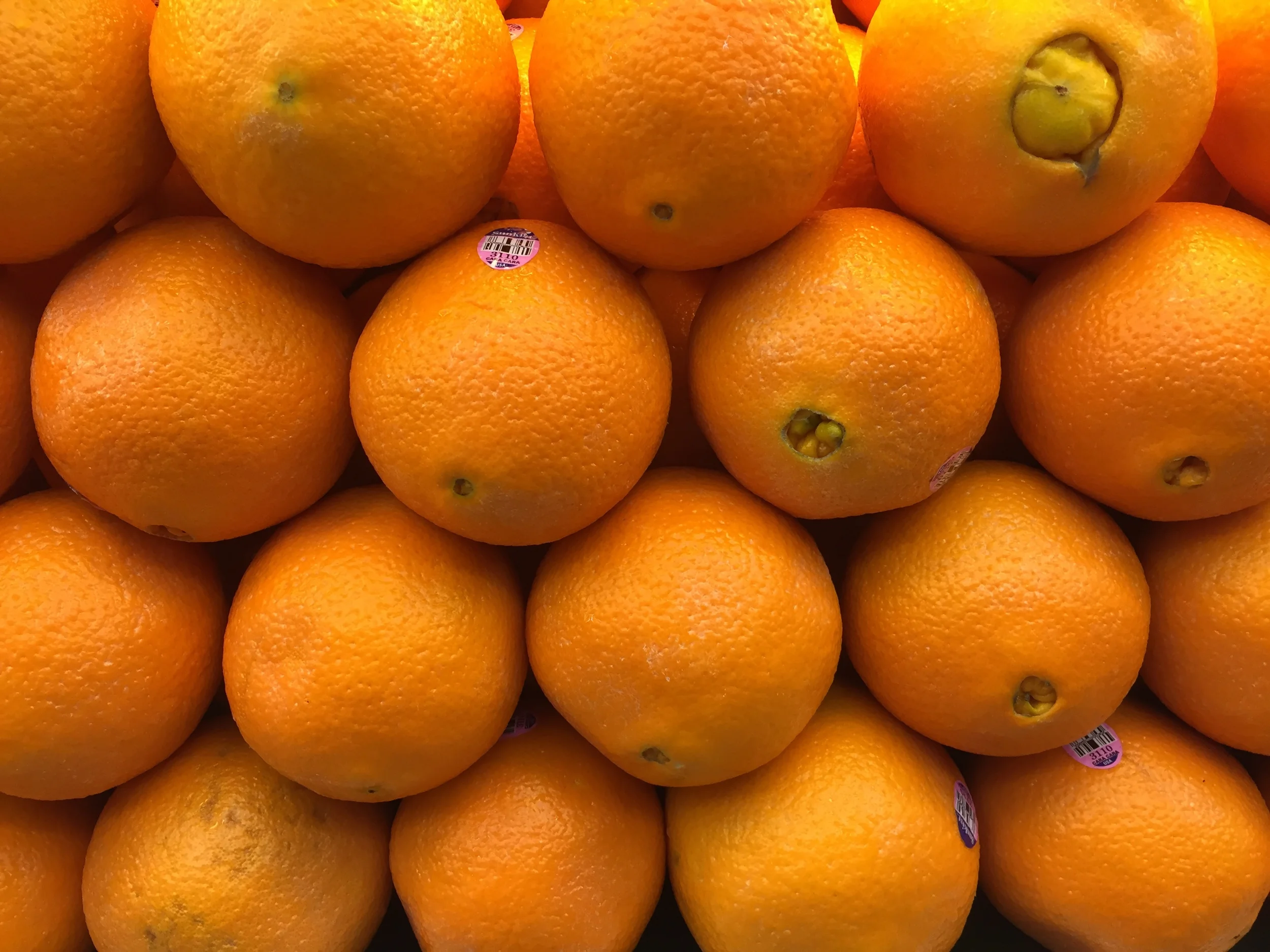 2015-02-22 16.26.45.jpg