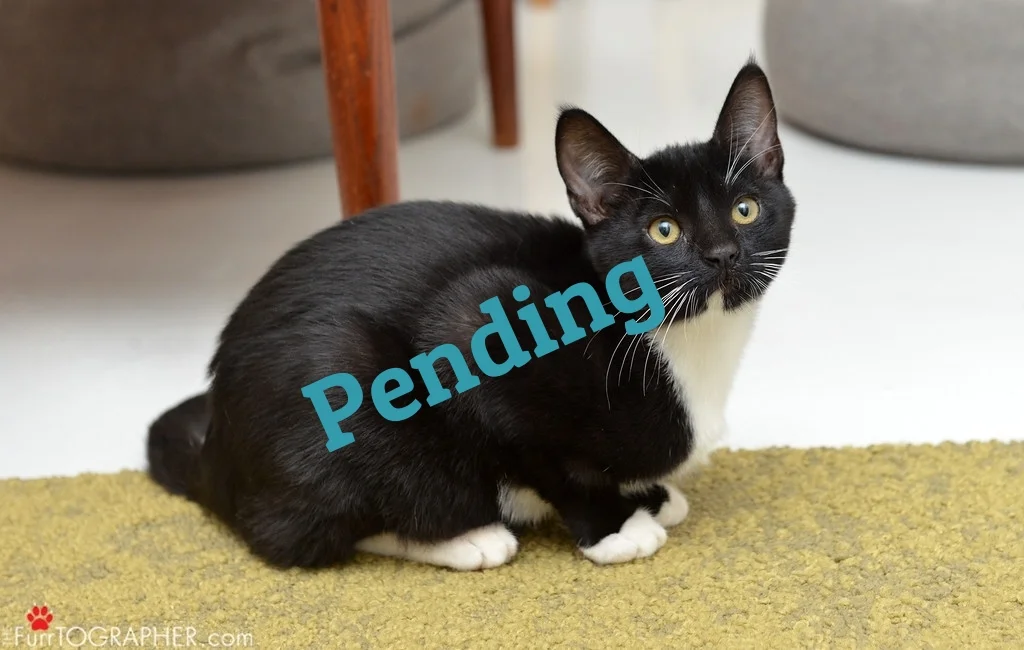 Eric ~ 3 mo. / Male