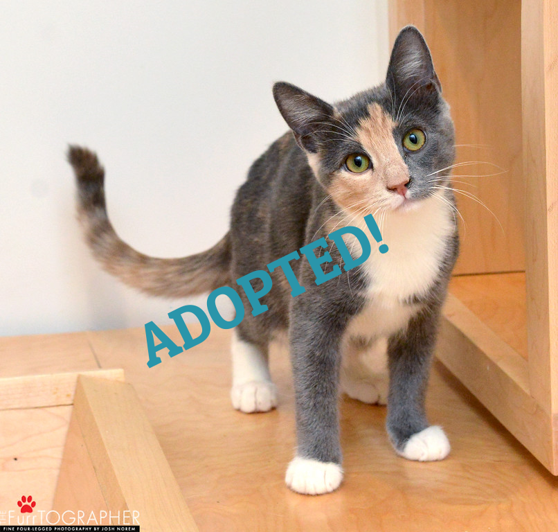 Clara ~ 3 mo. / Female