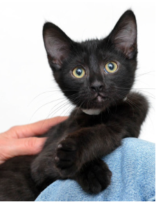 Pearly ~ Baby / Female
