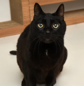 Christofer ~ 12 yrs. / Male