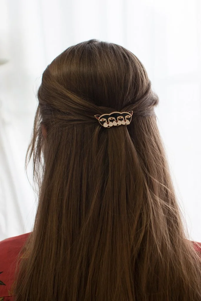 hairclip1a.jpg