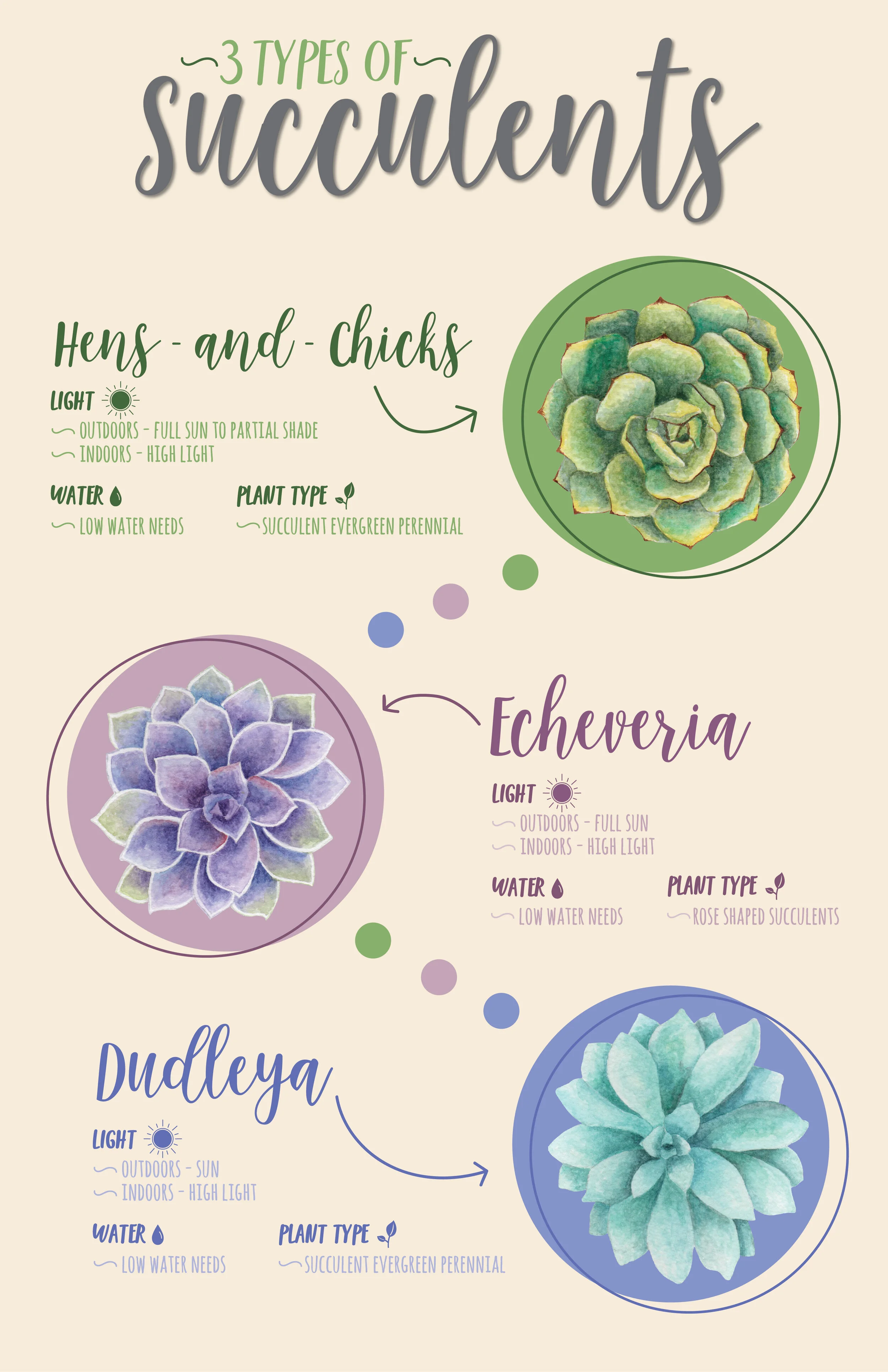Succulent_Infographic-01.jpg