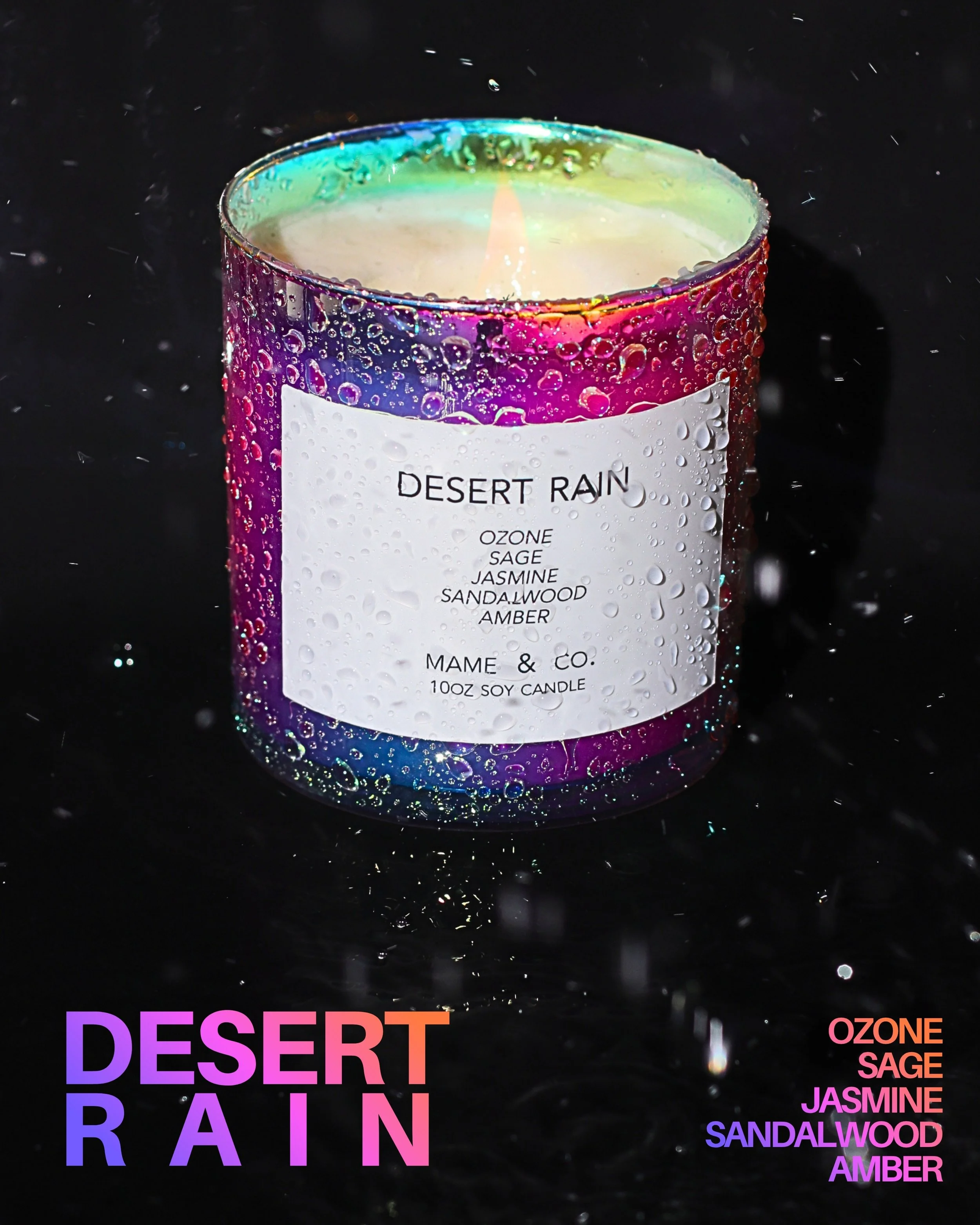 Desert rain-3.jpg