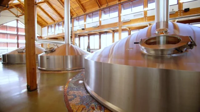 Nintex | New Belgium Customer Story