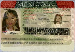 How to Apply for a Mexican Visa — Champagne Dreams