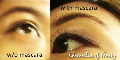 eyelashes+copy.jpg