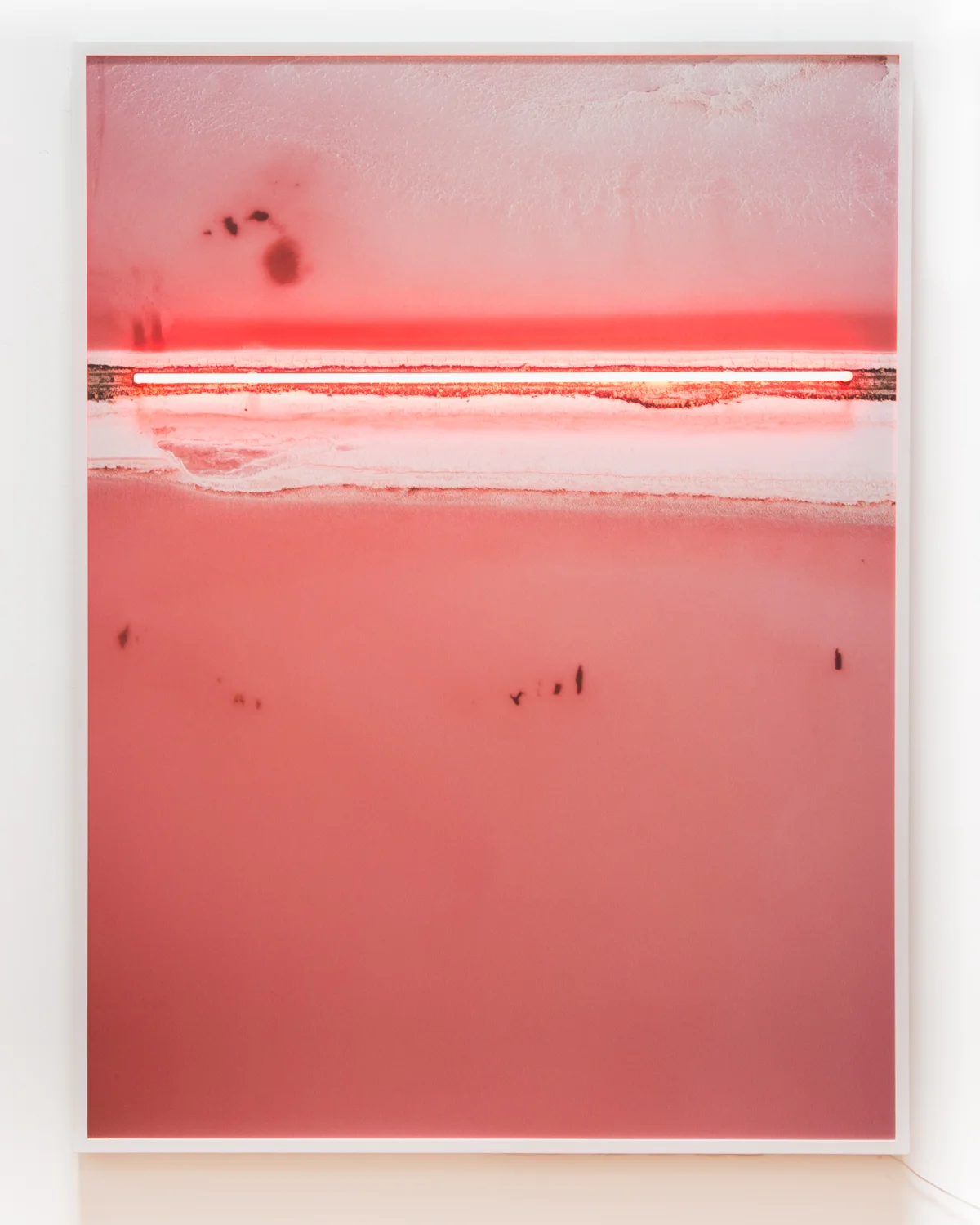 Tony Futura