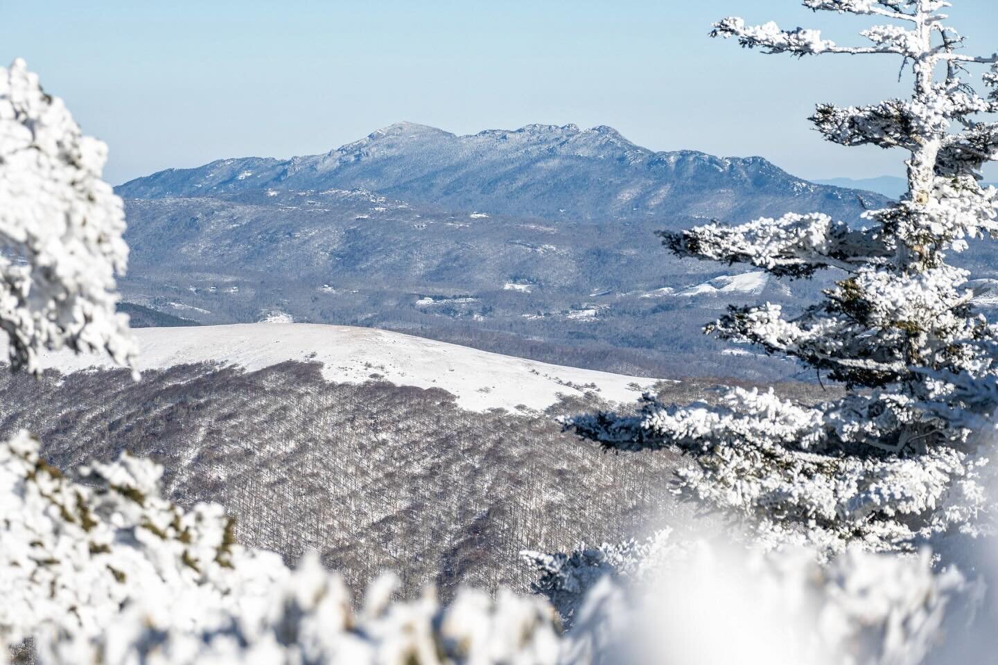 Tanawha (Grandfather Mountain), with a fresh coating of snow.

#tanawha #grandfathermountain #nc #explorenc #northcarolina #southernappalachians #blueridgemountains #blueridge #snow #winter #grassyridgebald #roanhighlands #roanmountain #appalachiantr