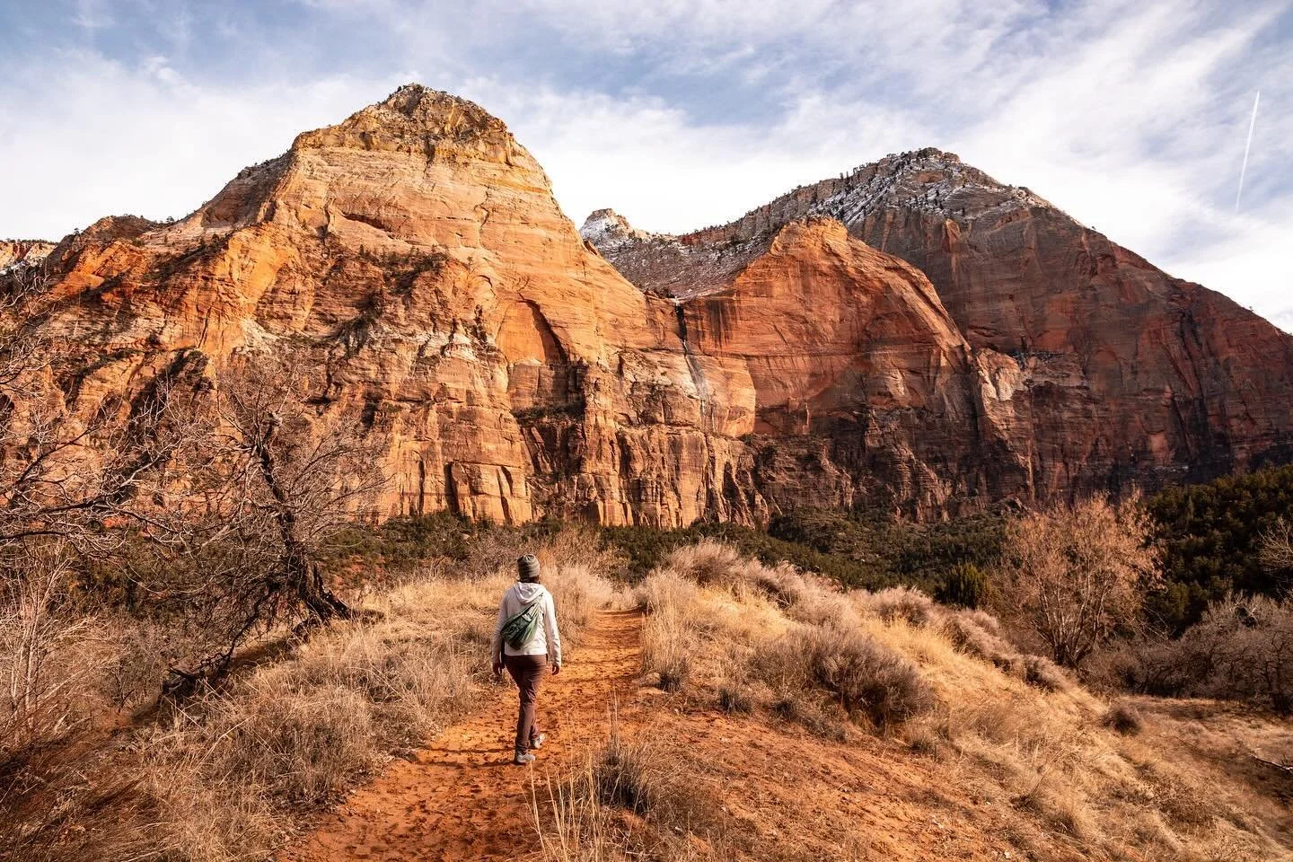 Zion on my mind.

#Zion #zionnationalpark #utah #southernutah #nationalpark #parks #publiclands #hiking #zioncanyon #naturephotography #nature #landscape #landscapephotography #hiking #ontrail #outdoors @zionnps