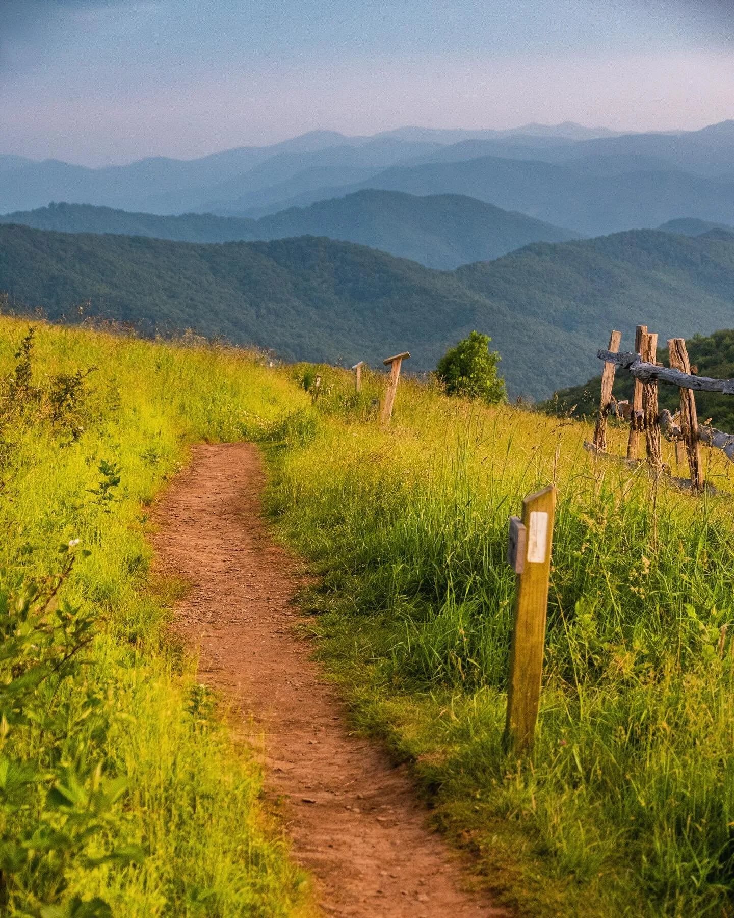 Southbound on the AT at Max Patch.

#appalachiantrail #at #northcarolina #southernappalachians #mountains #hiking #trail #nationalforest #publiclands #pisgahnationalforest #wnc #westernnorthcarolina #nature #naturephotography #landscape #landscapepho