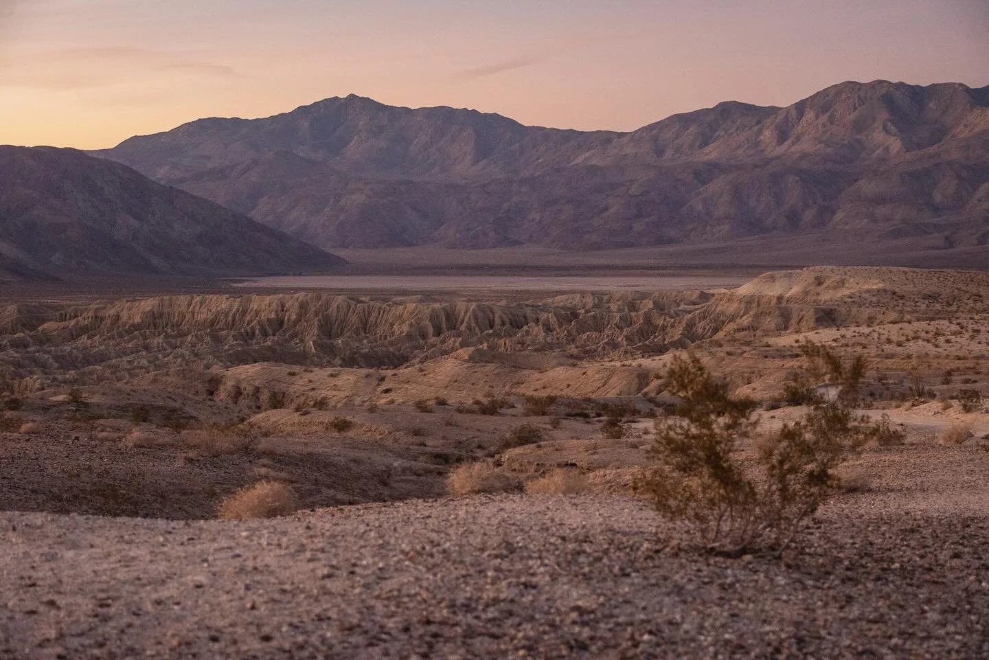 Anza-Borrego on the mind.

#anzaborregodesertstatepark #california #desert #socal #southerncalifornia #landscapephotography #nature #stateparks #publiclands #anzaborrego