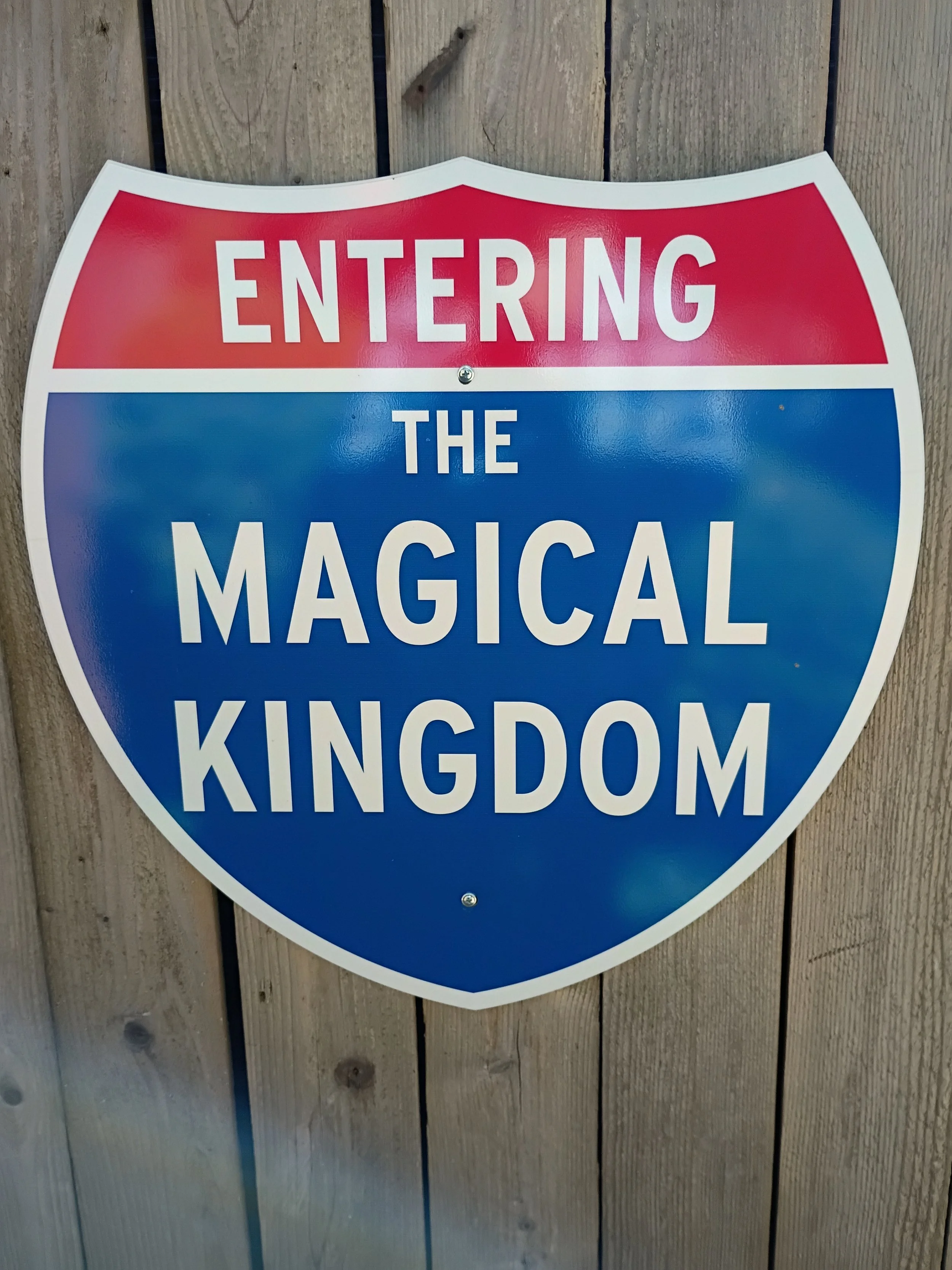 ENTERING THE MAGICAL KINGDOM