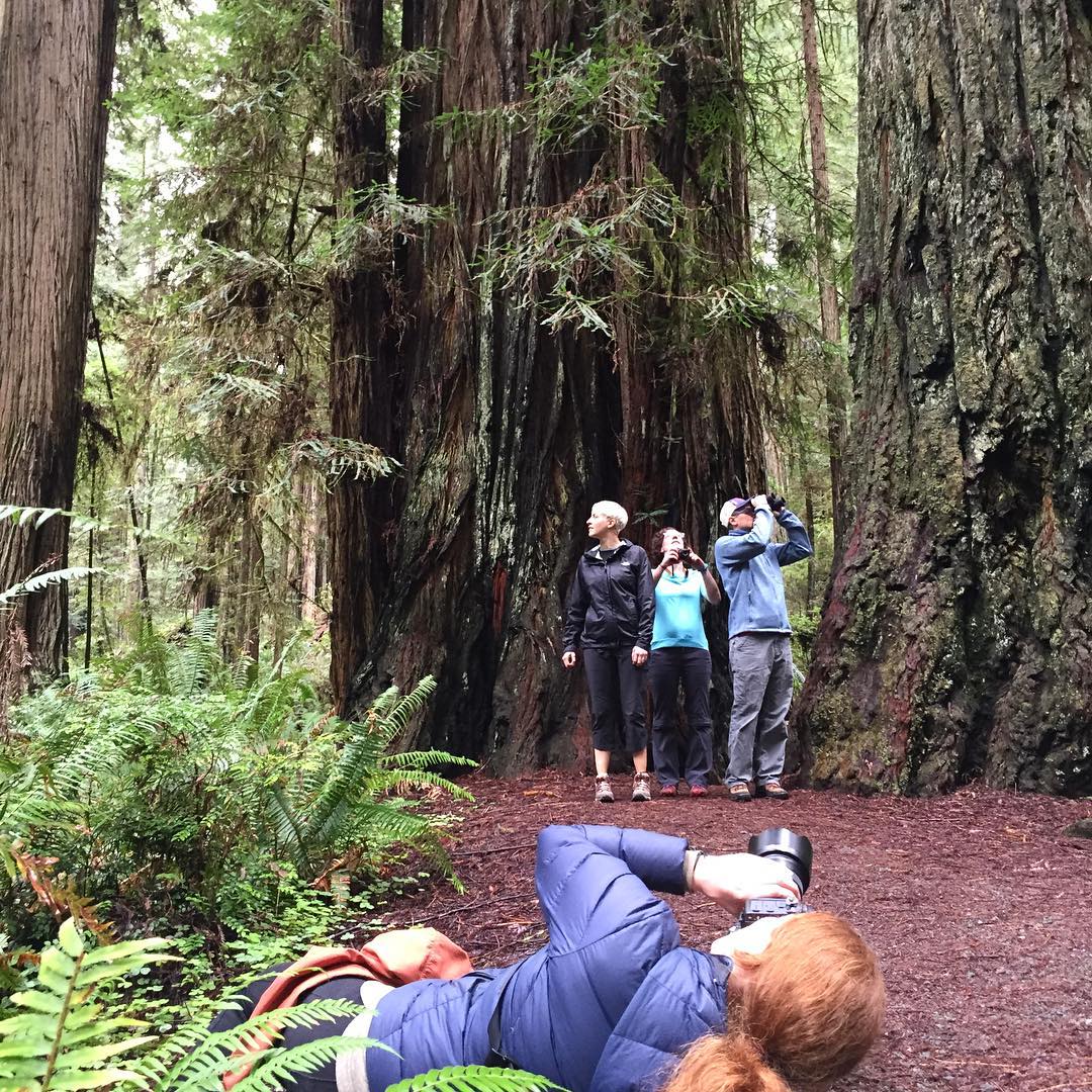 redwoods-national-park-yakima-car-racks-national-park-centennial-photoshoot.jpg