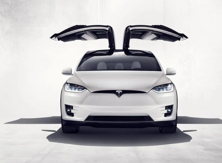 modelx (1).jpg