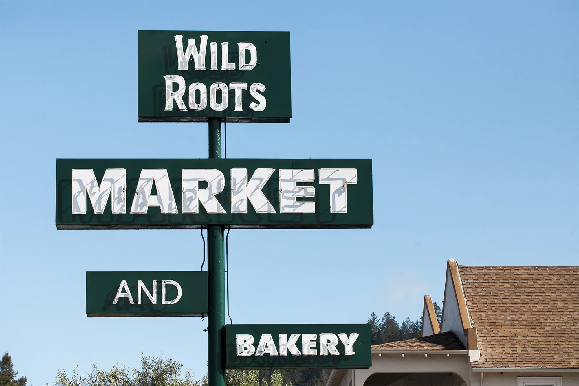 wild_roots_santa_cruz_mountains_sleepless17.jpg