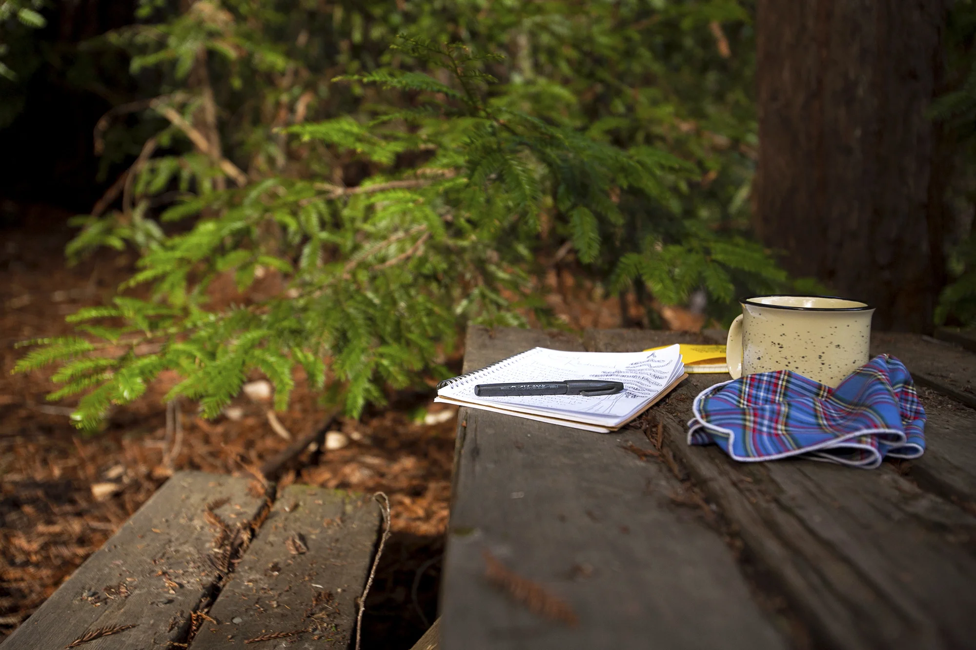 blog_santa_cruz_mountains_sleepless_banner12.jpg