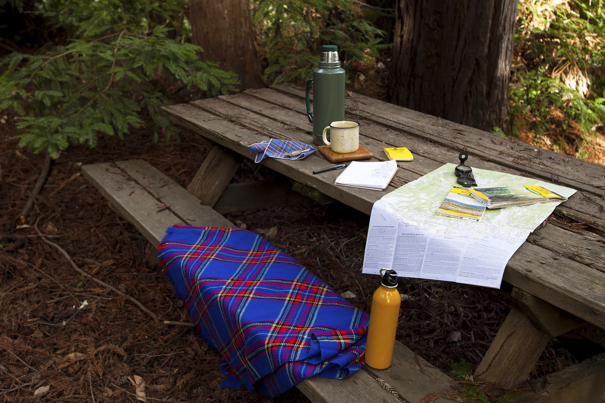 blog_santa_cruz_mountains_sleepless_banner14.jpg