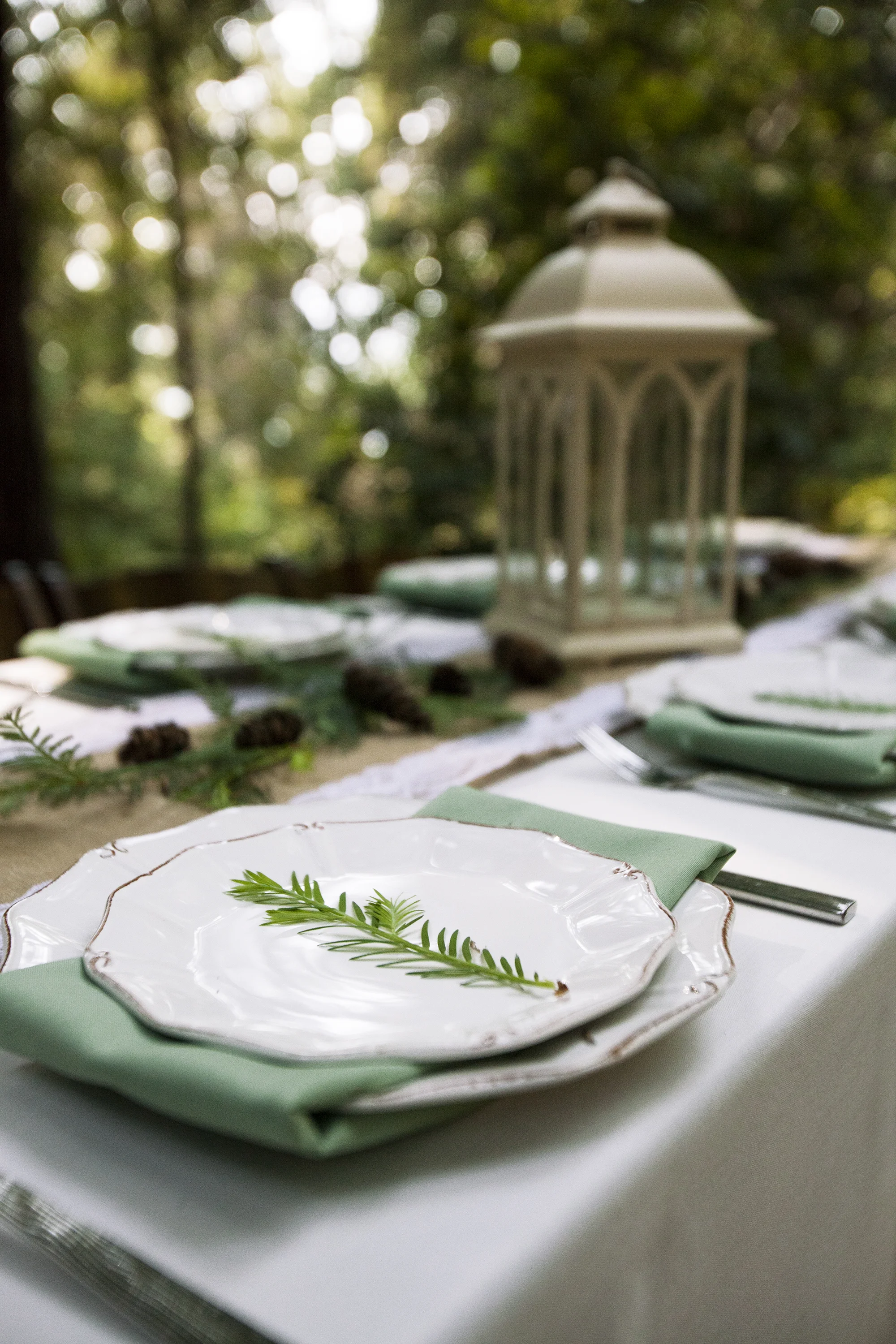 steam_table_dinner_roaring_camp_forest09.jpg