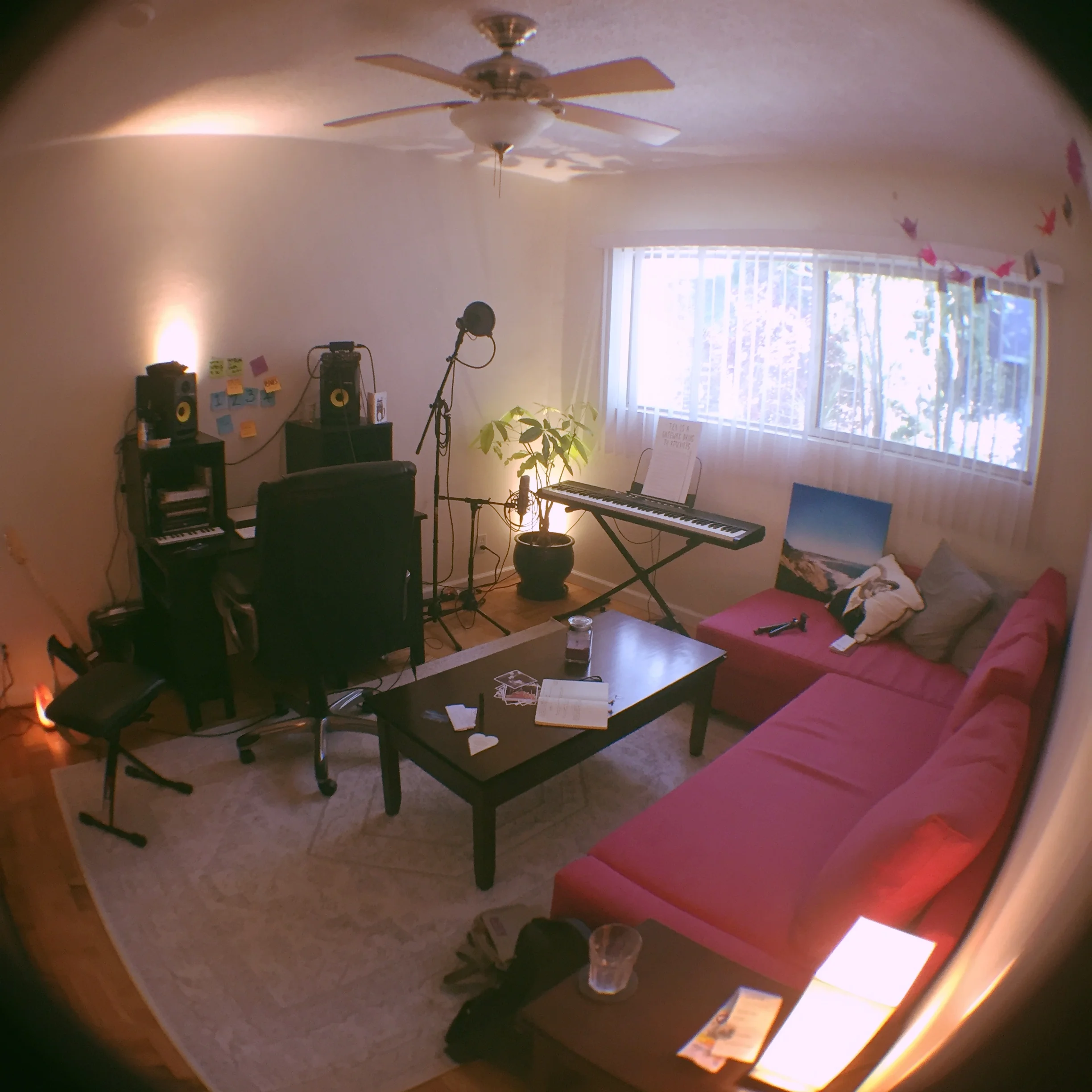 My Cabin in the (Holly)woods