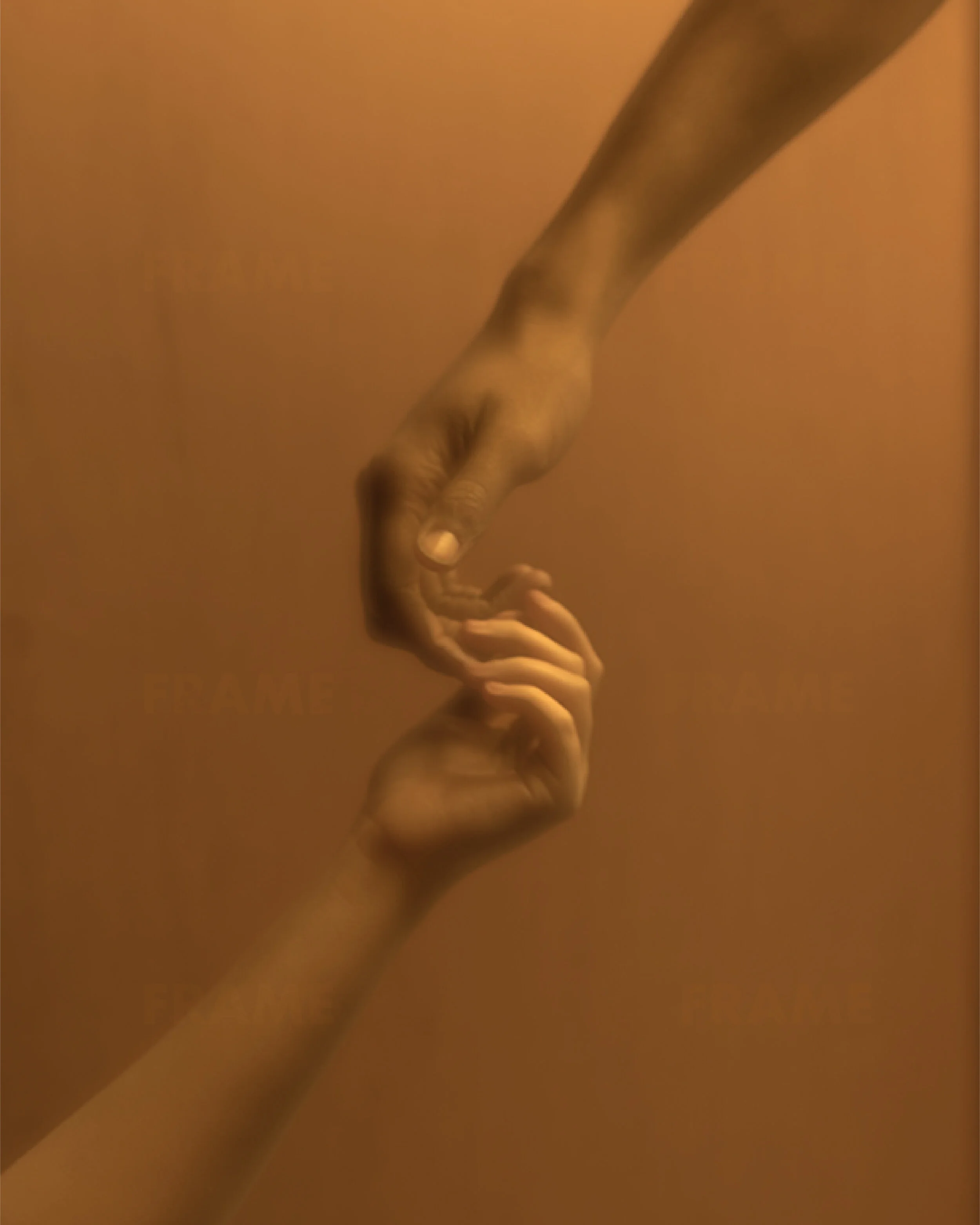 Complexities of Home, 2018