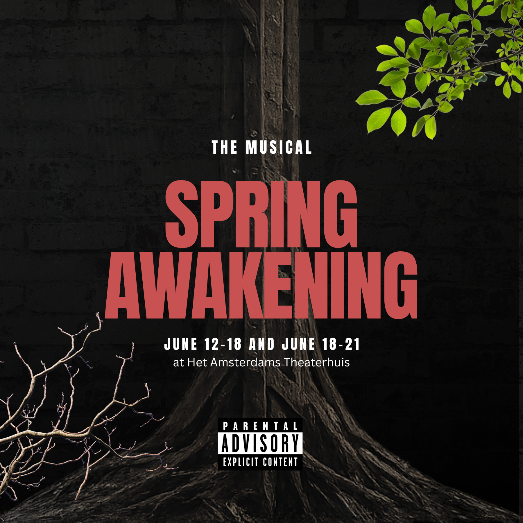 Spring Awakening