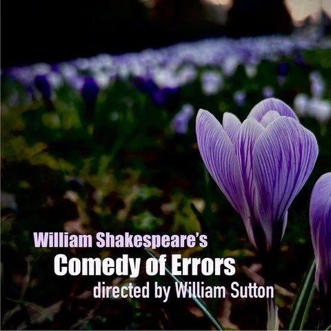 Comedy Of Errors