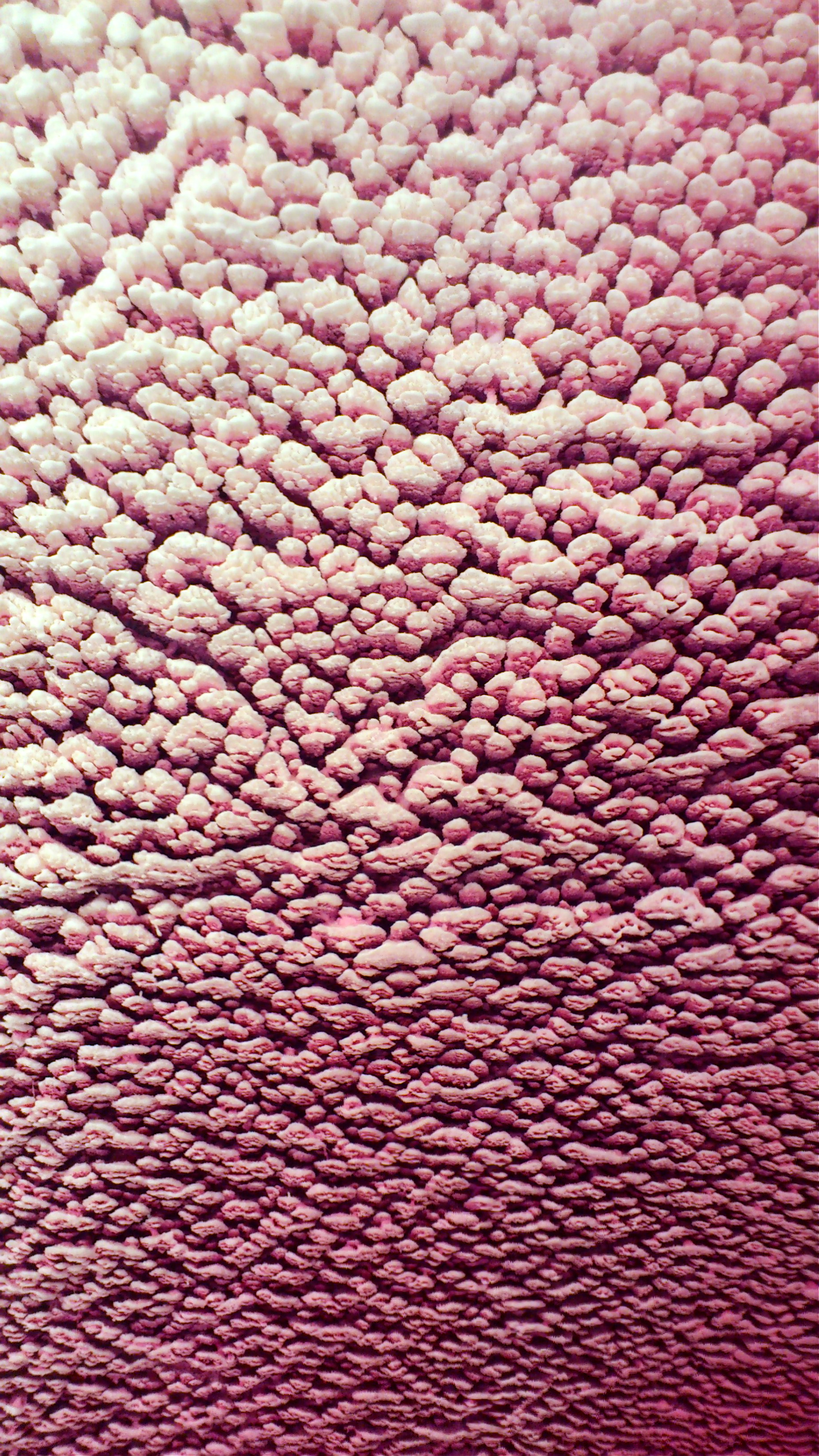  Rowena Boyd   Big Pink Requiem  (detail), 2012  Encaustic and oil on board  180 x 120 cm    