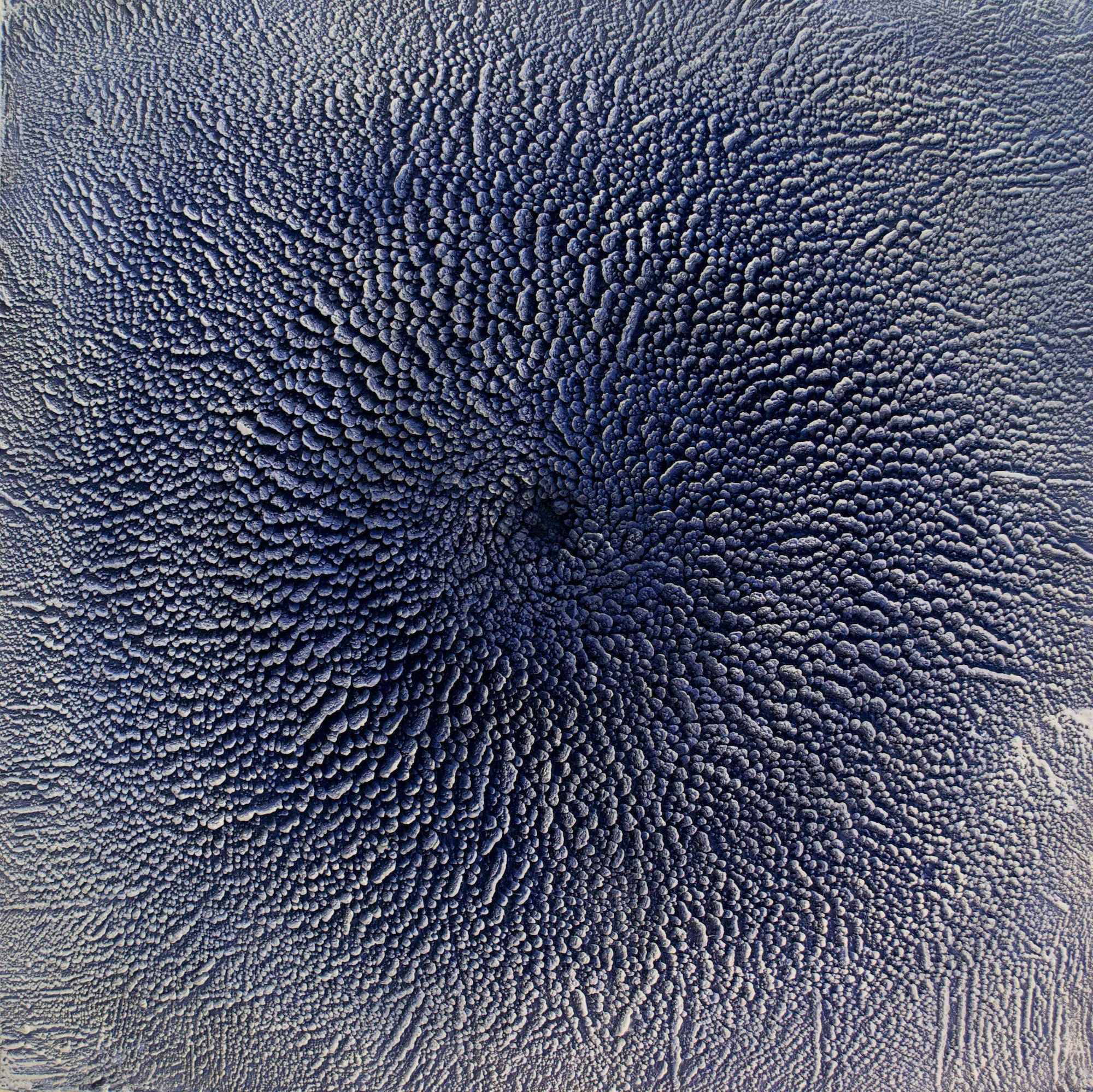 Rowena Boyd Auditory Cheesecake , 2016 Encaustic on board 90 x 90cm