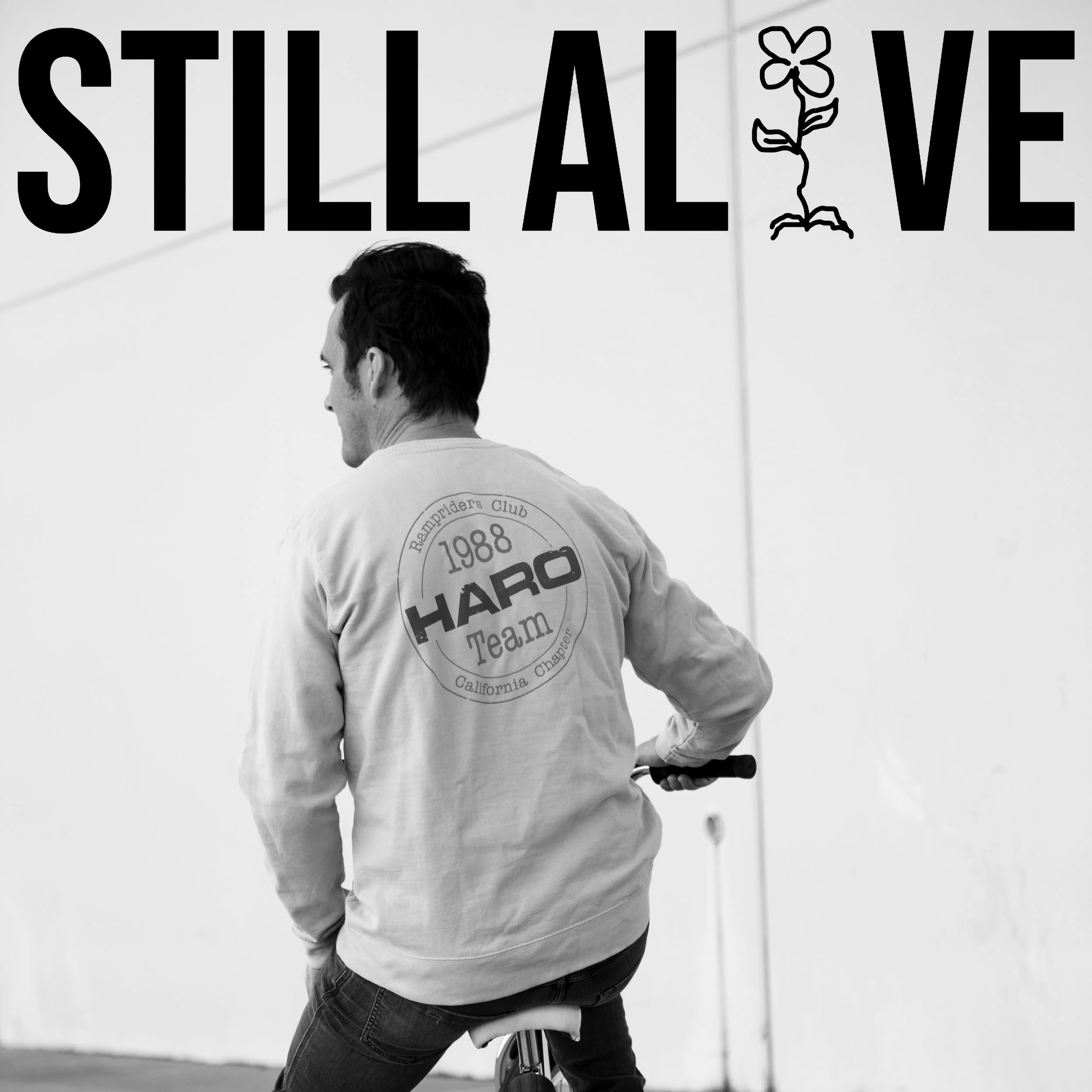 SimonVertPromo copy.jpg