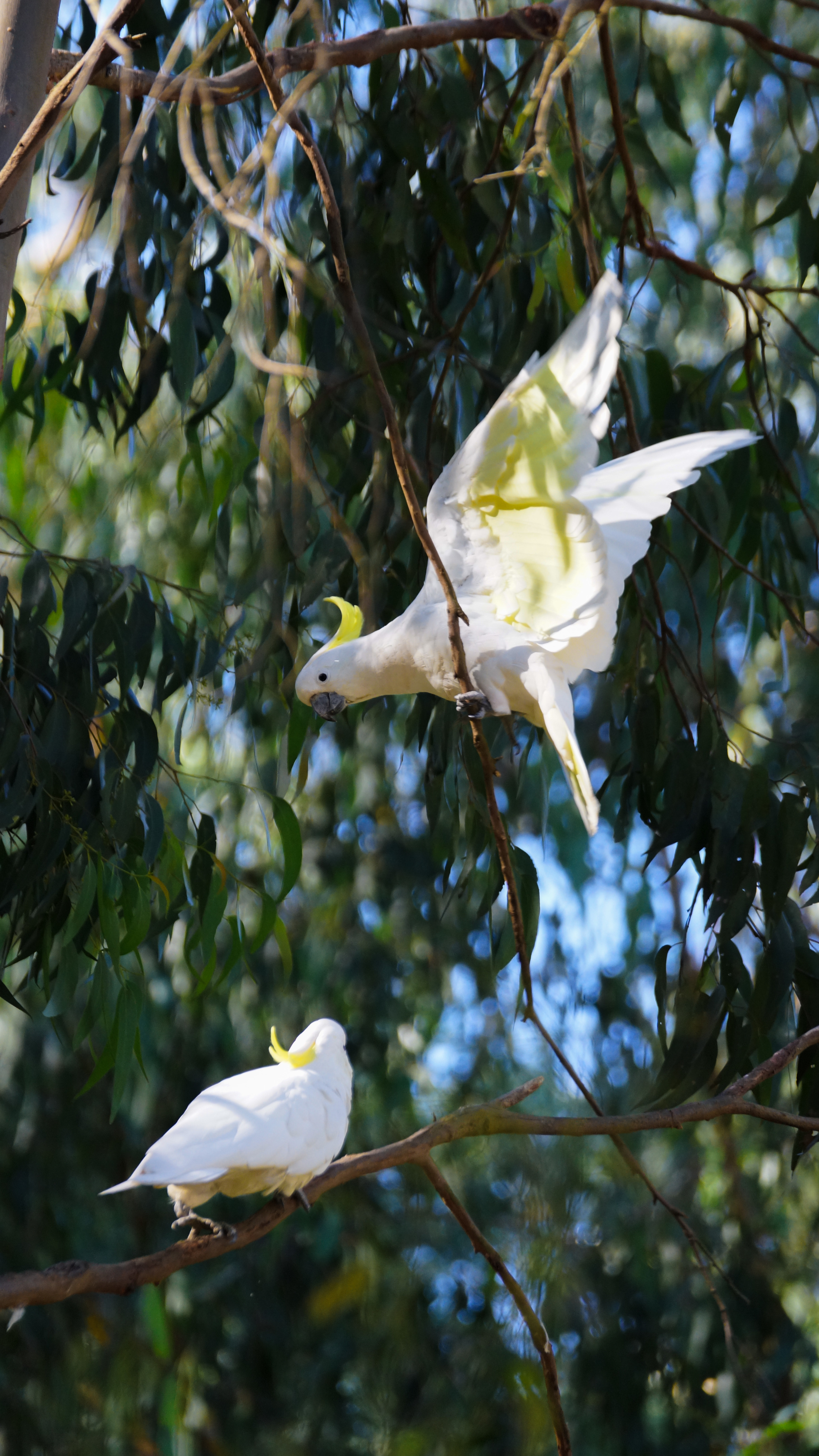DSC08131.jpg