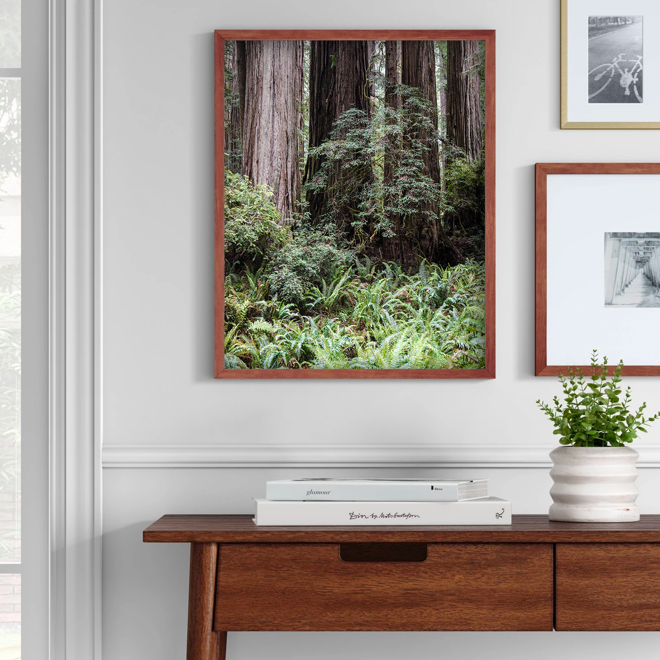 RedwoodNP_JedSmith1_wall.png