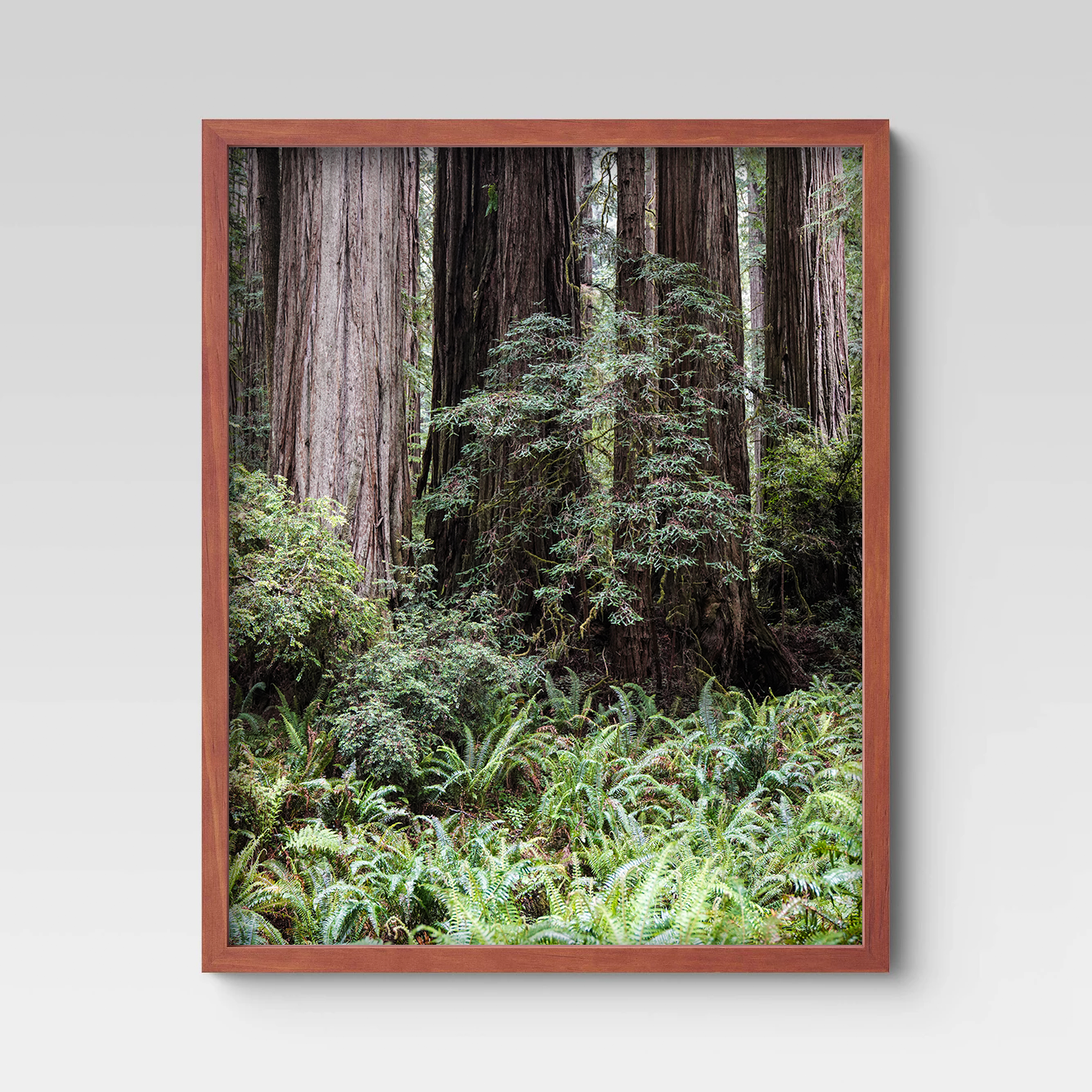 RedwoodNP_JedSmith1_front.png