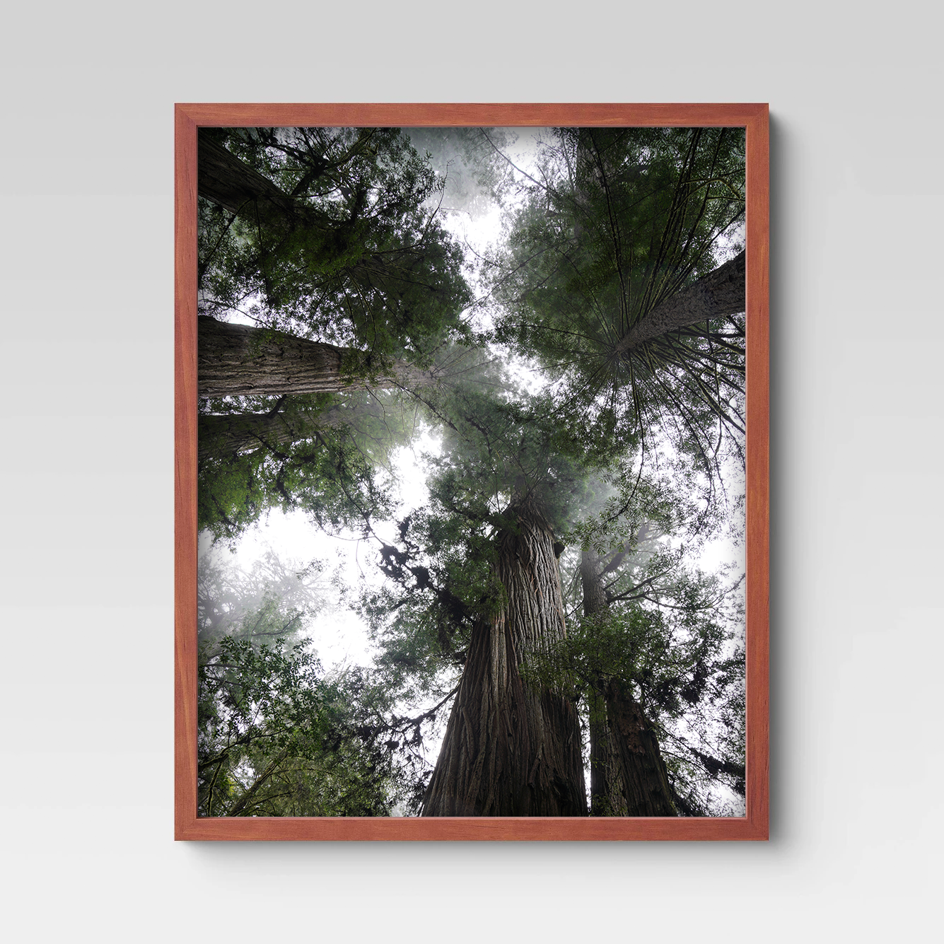 RedwoodNP_JedSmith3_front.png