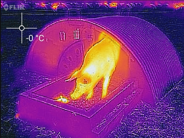 Infrared picture showing heat loss from an insulated metal ark