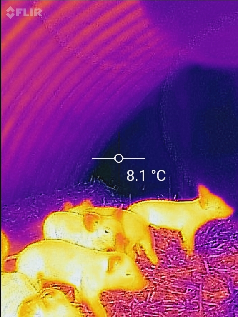 On the same frosty morning the insulated steel ark was only 8.1 degrees