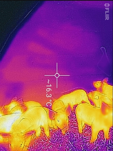 On a frosty morning the temperature inside the refrigeration grade insulated ark is 16.3 degrees