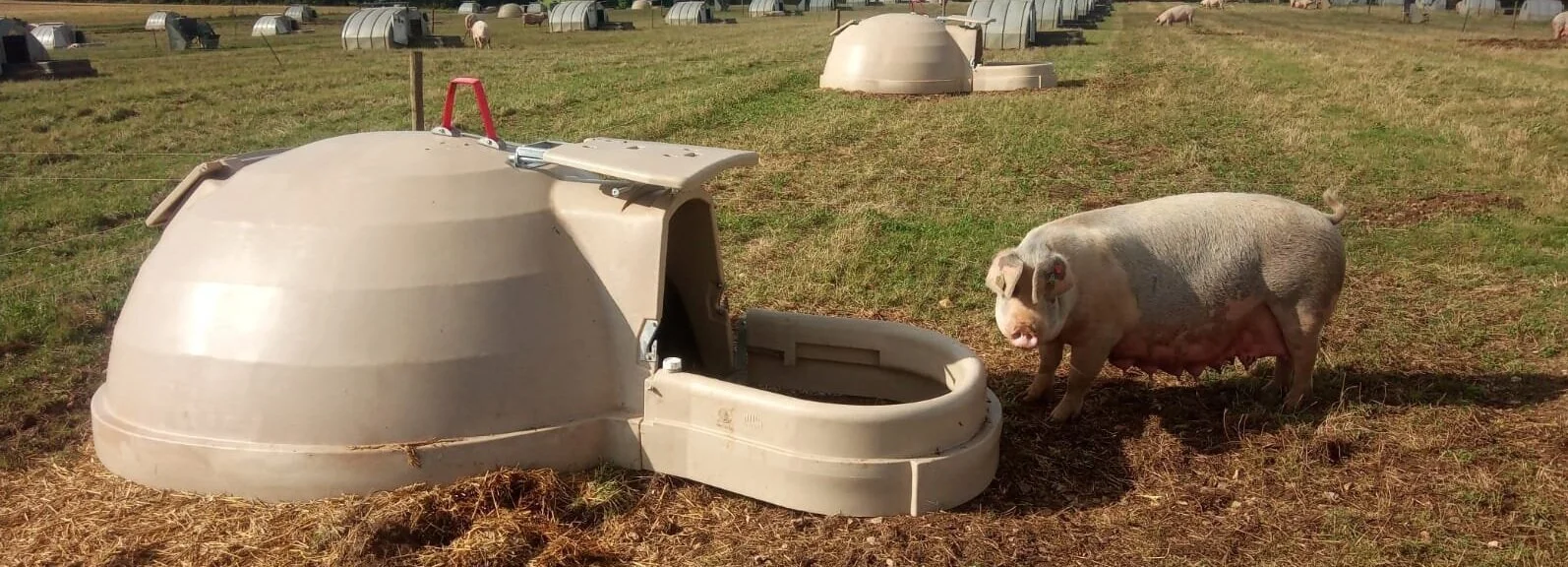 Aardvark XL farrowing ark — Contented Products