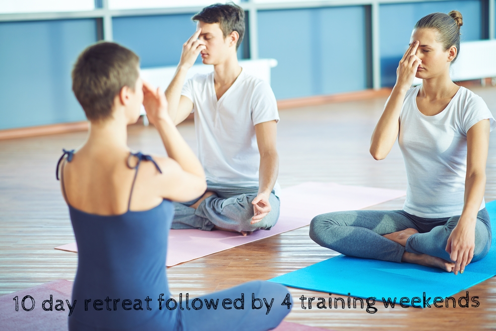freesoulyogateachertrainingpic2.jpg