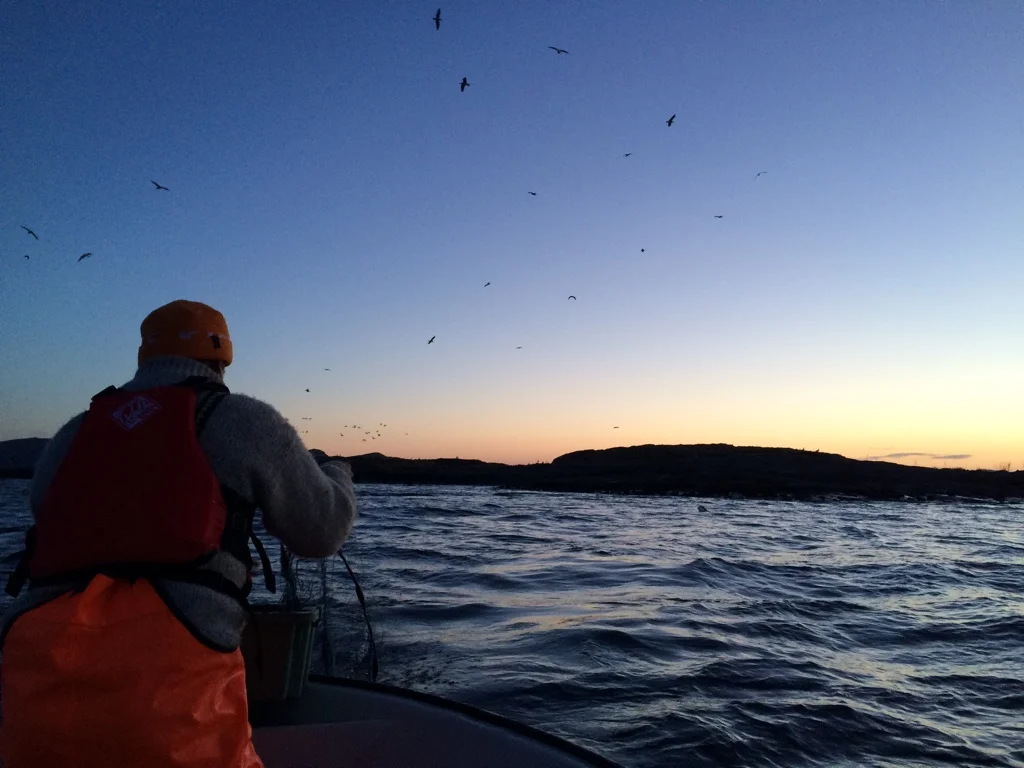 Fellestur til Botnane